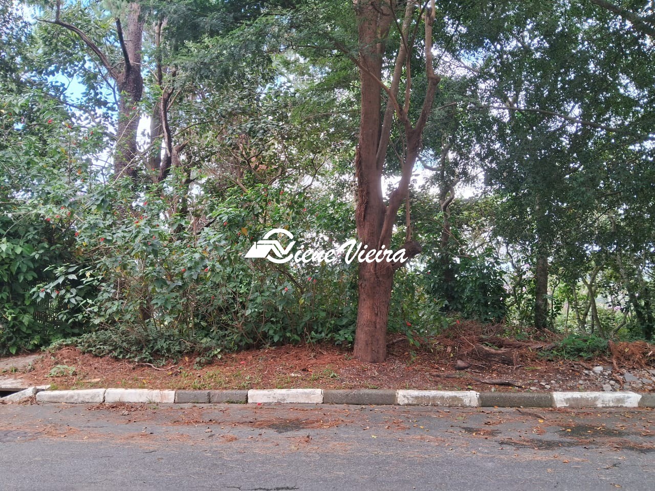 Terreno, 1200 m² - Foto 1