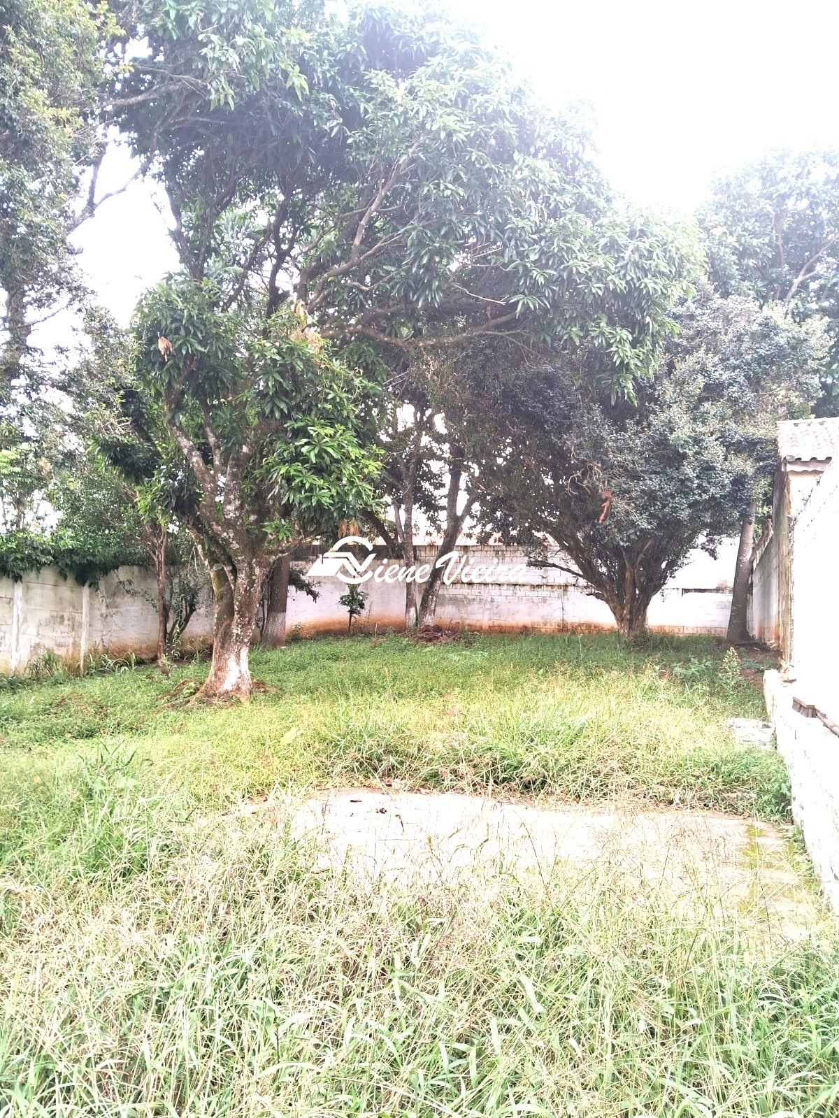 Casa, 3 quartos, 636 m² - Foto 3