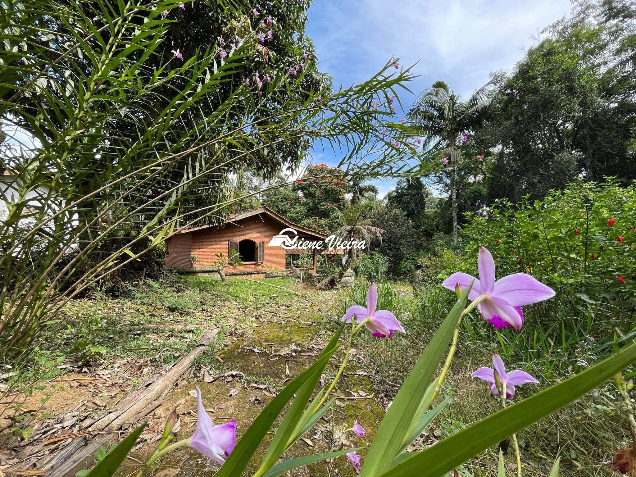 Chácara, 5 quartos, 7147 m² - Foto 19