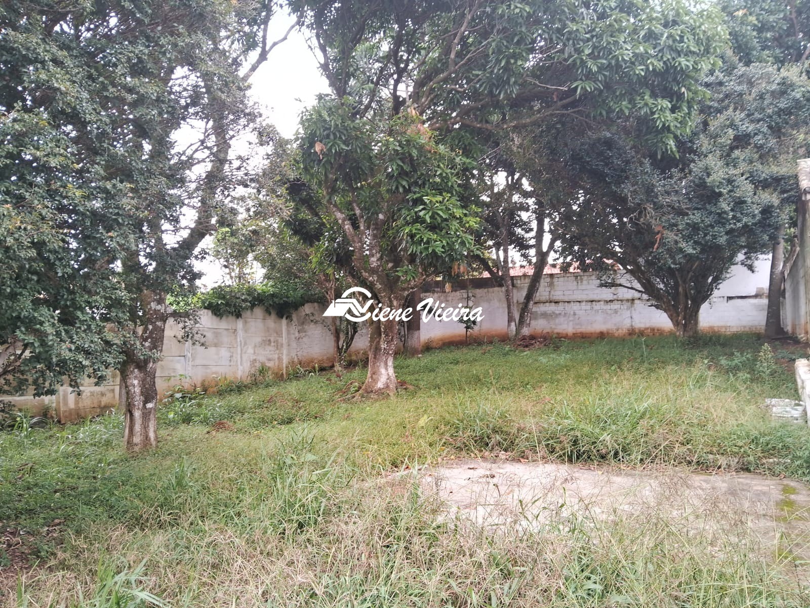 Casa, 3 quartos, 636 m² - Foto 4