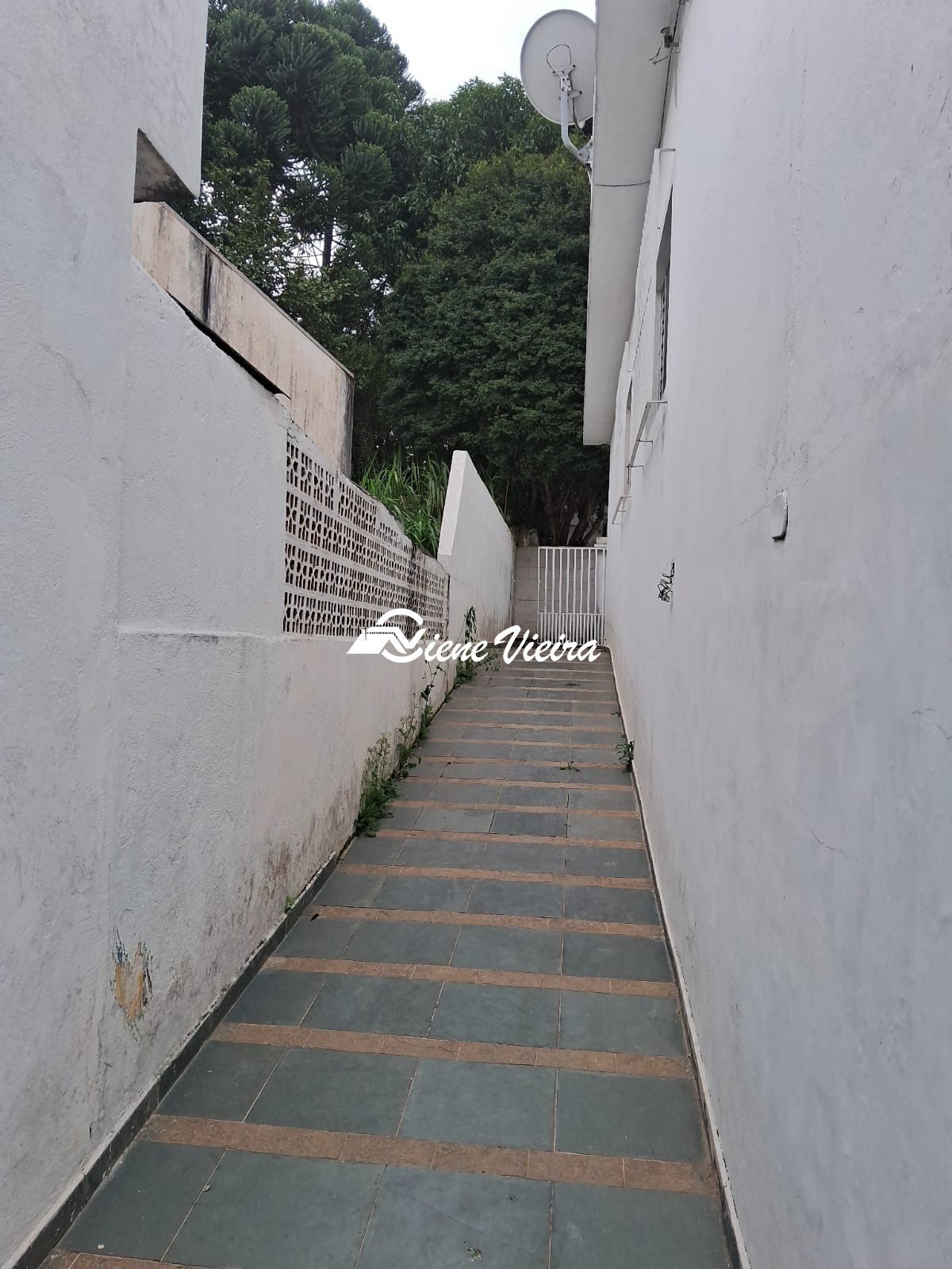 Casa, 3 quartos, 636 m² - Foto 6