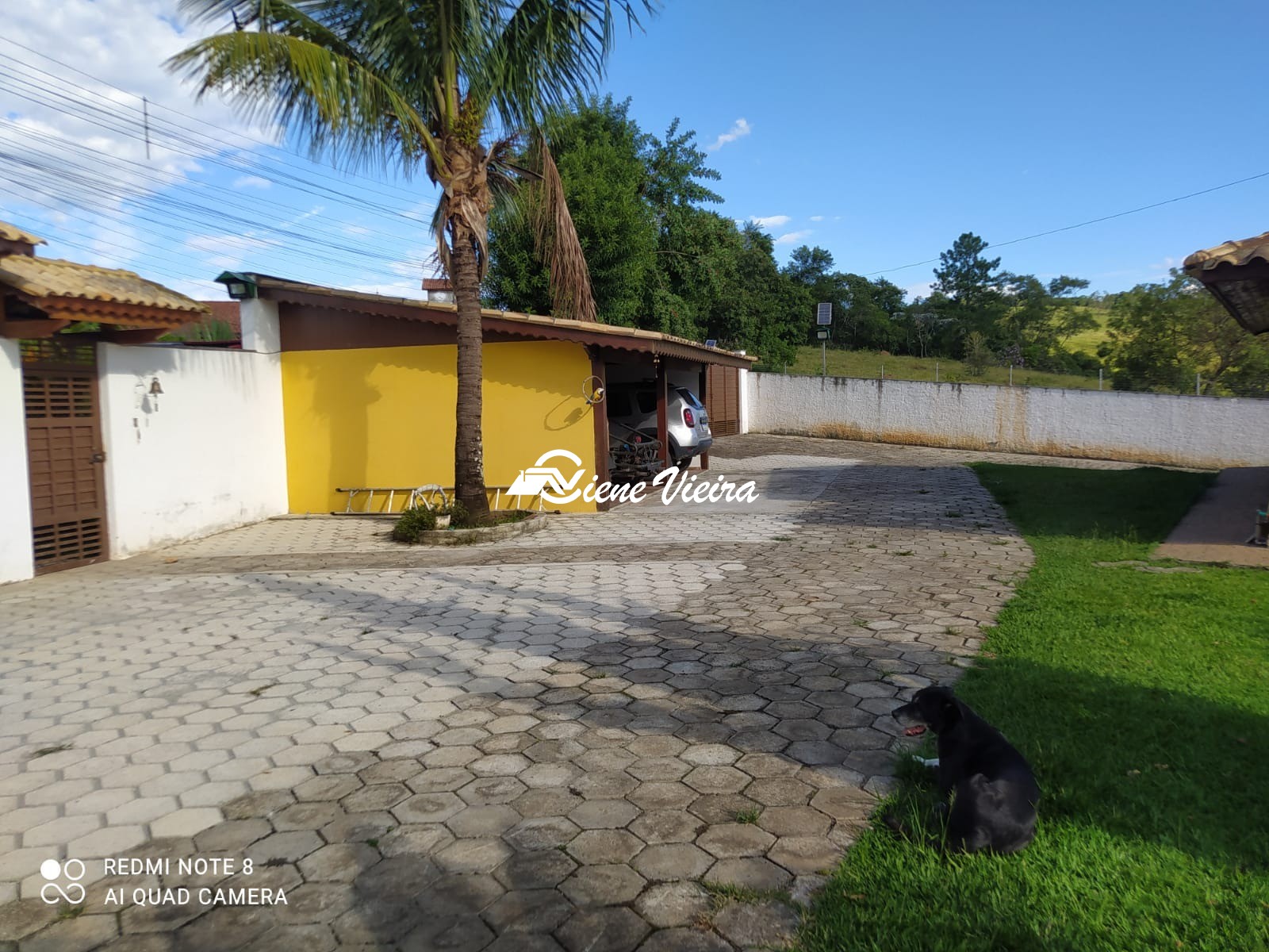 Chácara, 3 quartos, 10000 m² - Foto 4