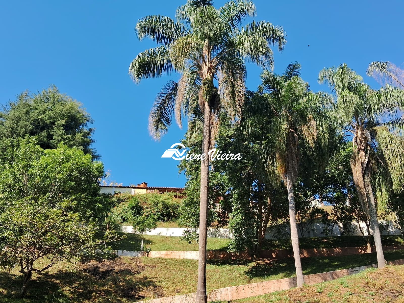 Chácara, 2 quartos, 5000 m² - Foto 34