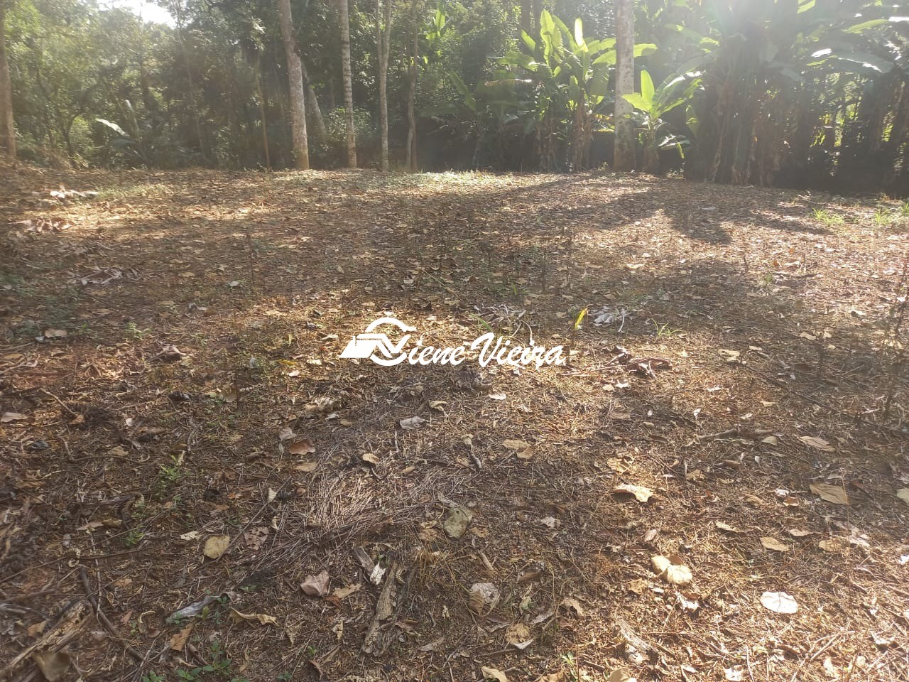 Terreno, 500 m² - Foto 3