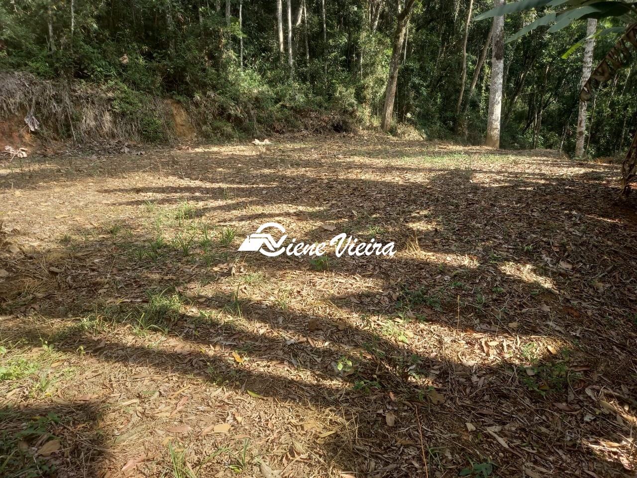 Terreno, 500 m² - Foto 10
