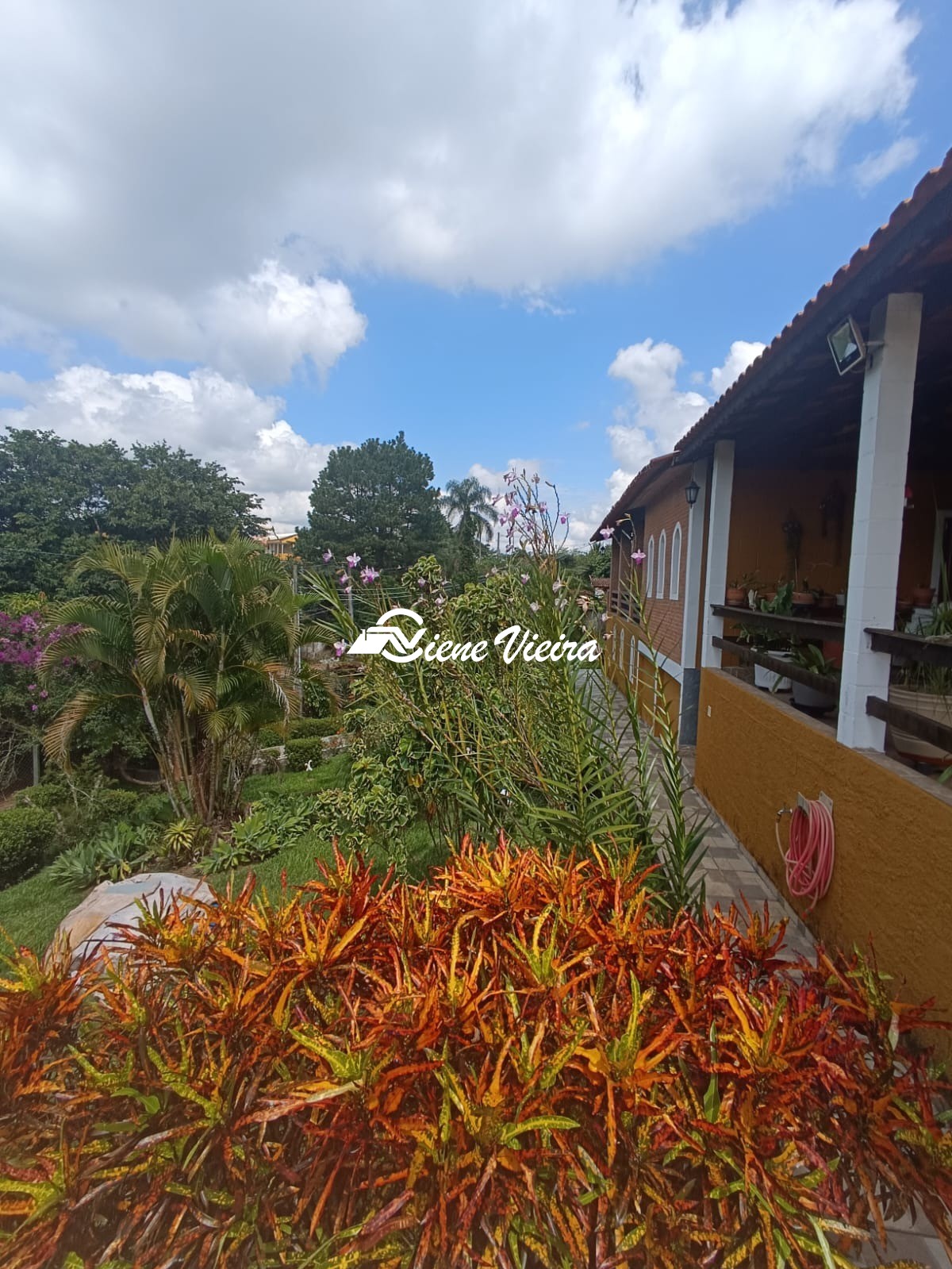 Chácara, 2 quartos, 1800 m² - Foto 7