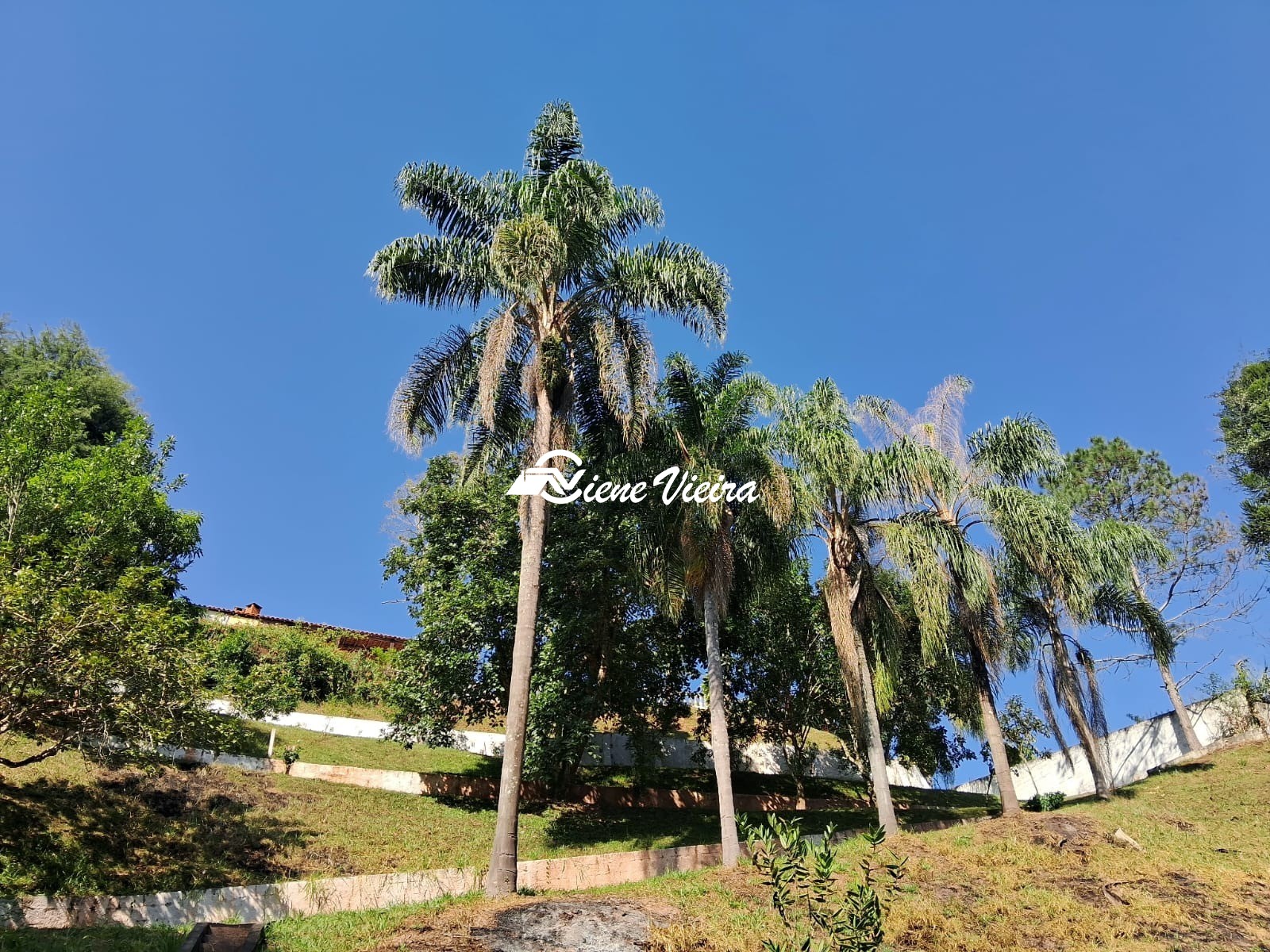 Chácara, 2 quartos, 5000 m² - Foto 32