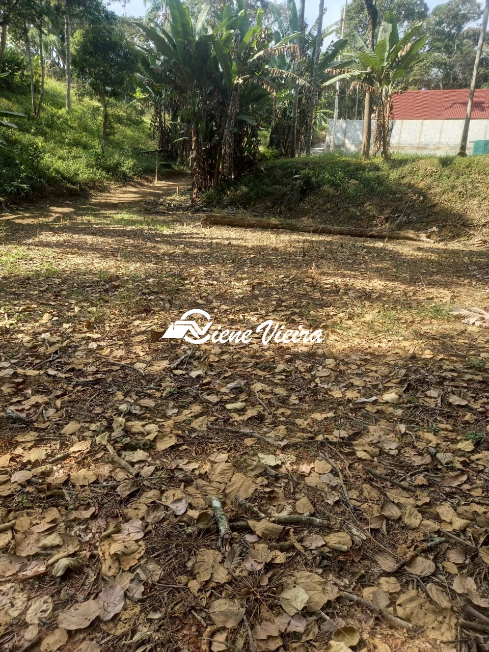 Terreno, 500 m² - Foto 5