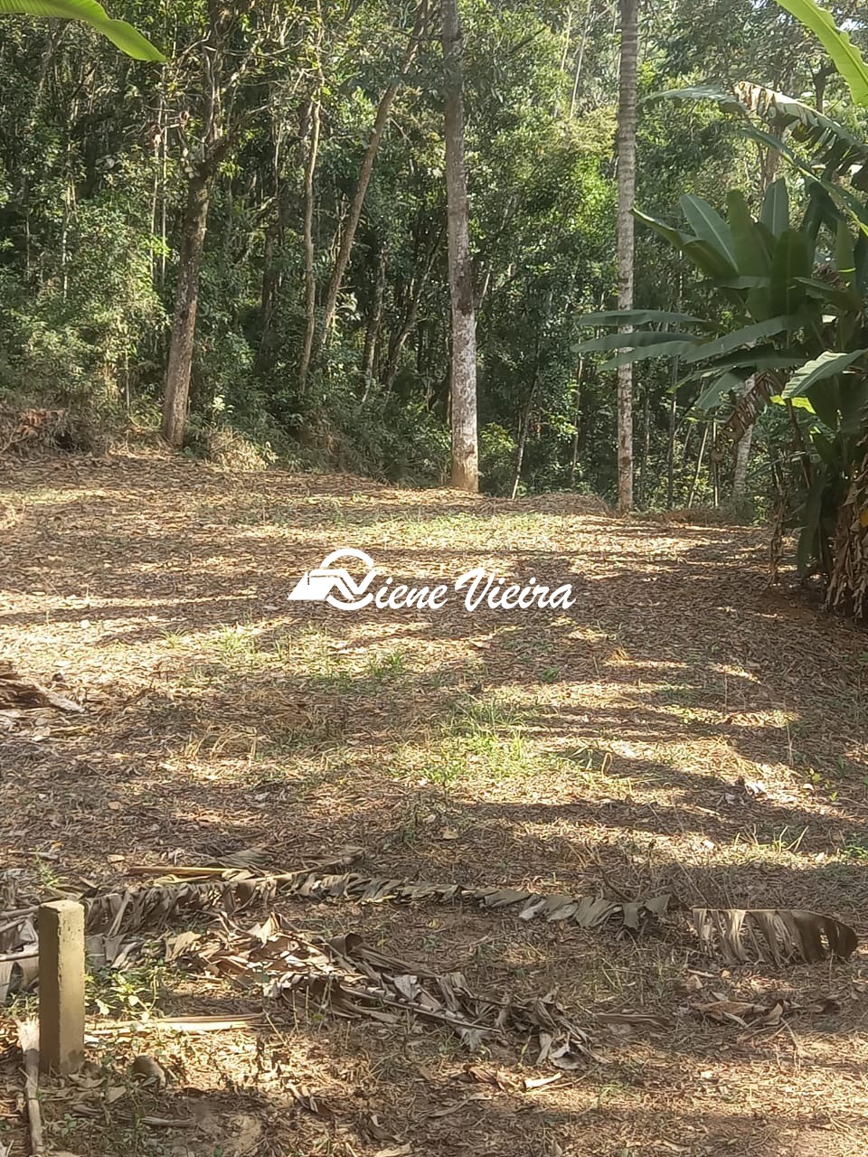 Terreno, 500 m² - Foto 8