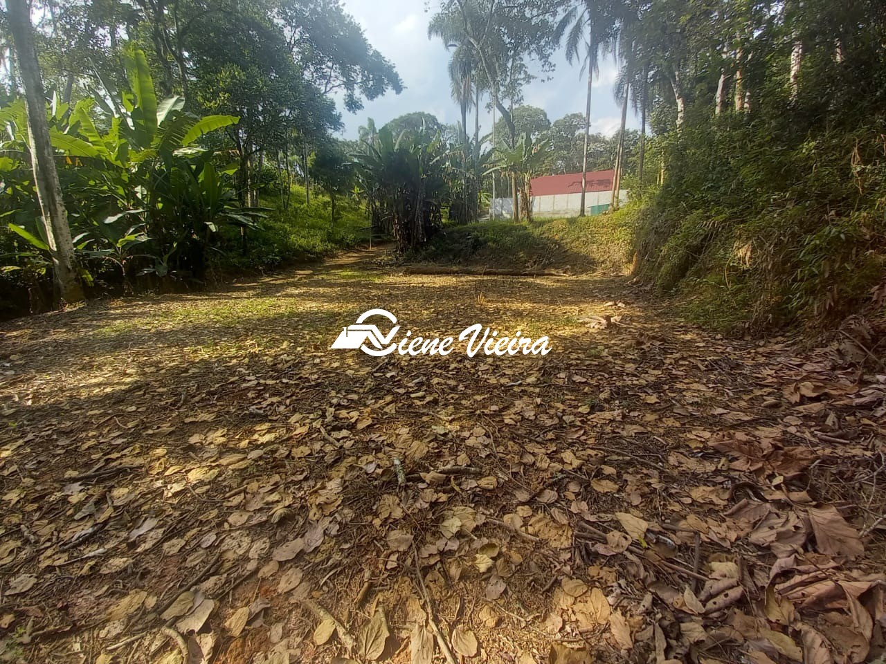Terreno, 500 m² - Foto 4