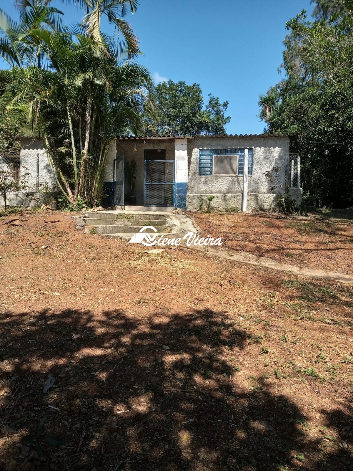 Chácara, 3 quartos, 6000 m² - Foto 3