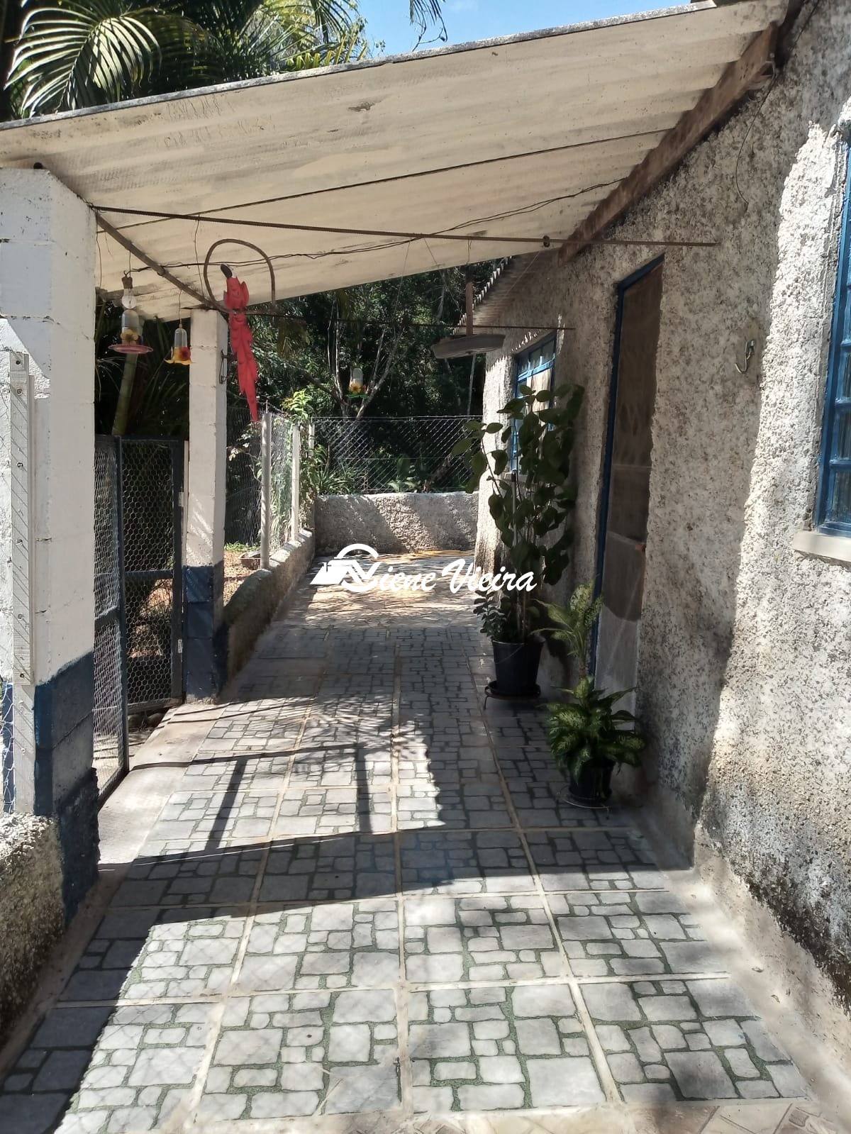 Chácara, 3 quartos, 6000 m² - Foto 10