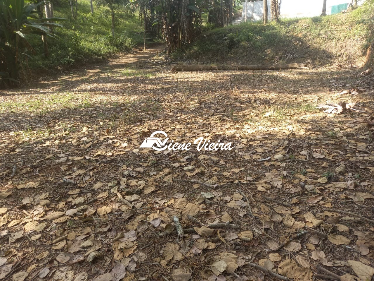 Terreno, 500 m² - Foto 6