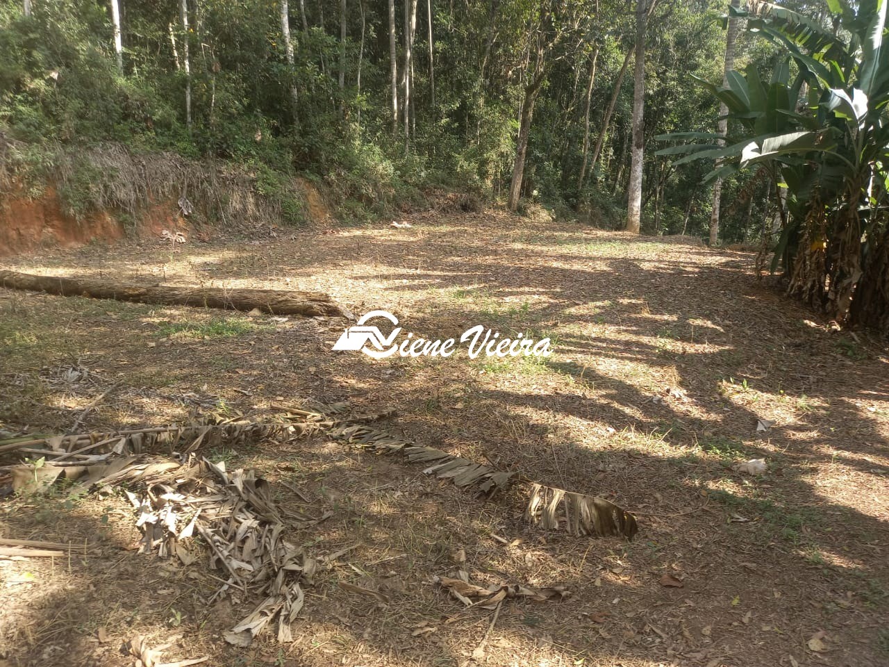 Terreno, 500 m² - Foto 1