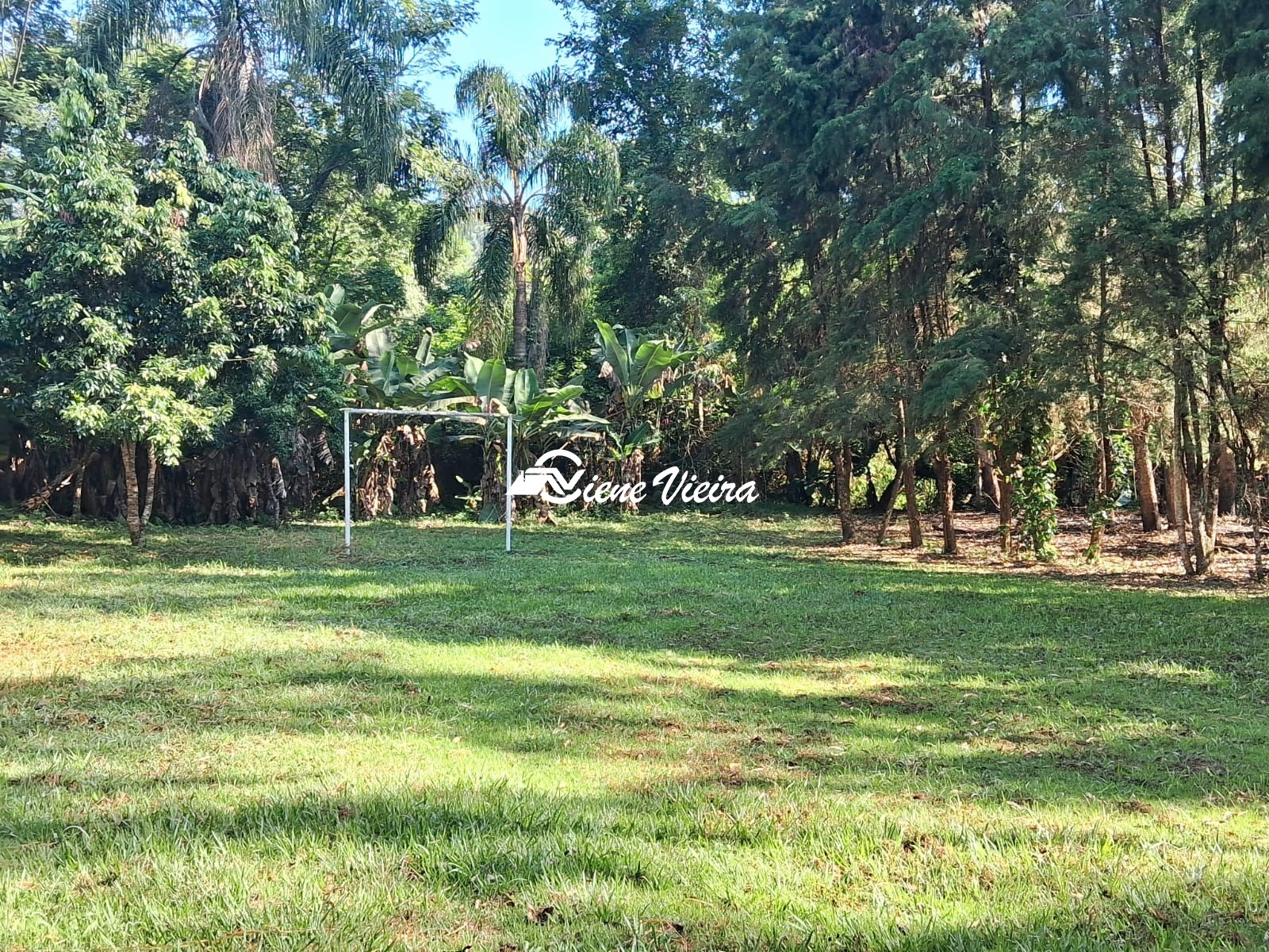 Chácara, 2 quartos, 5000 m² - Foto 35