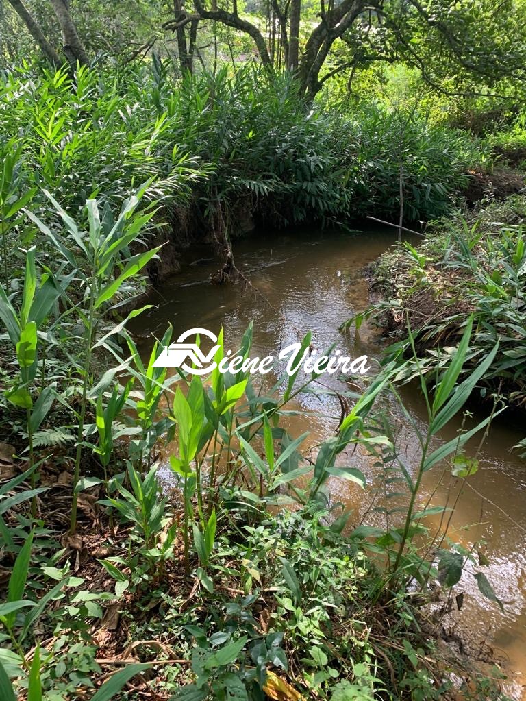 Chácara, 3 quartos, 1 hectares - Foto 8