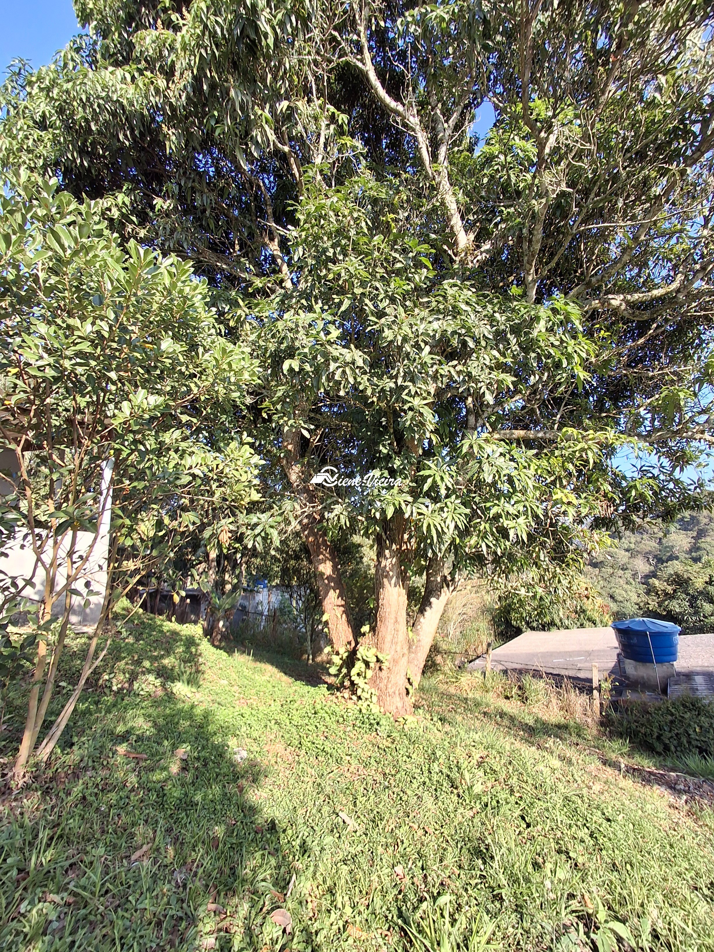 Chácara, 2 quartos, 1000 m² - Foto 18