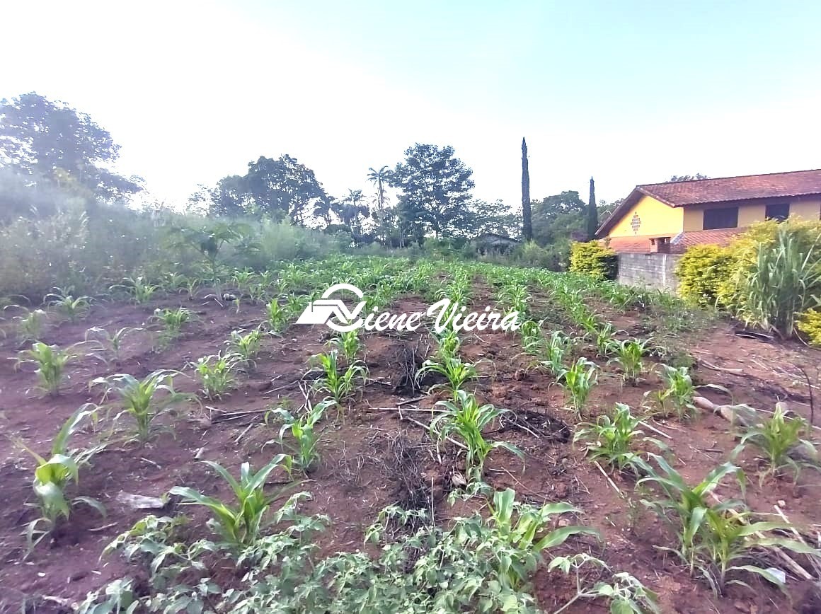 Terreno, 2403 m² - Foto 1