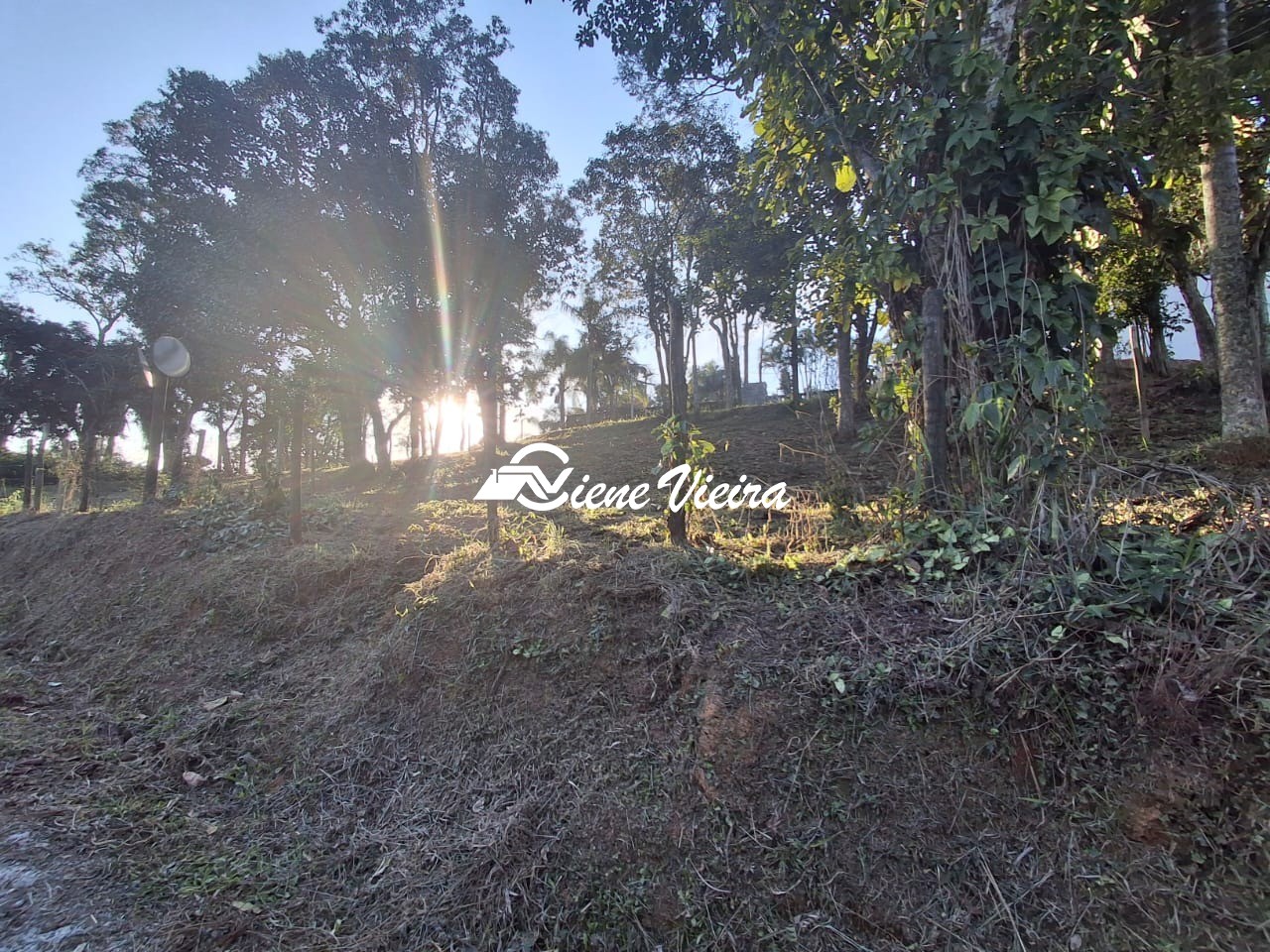Terreno, 600 m² - Foto 8