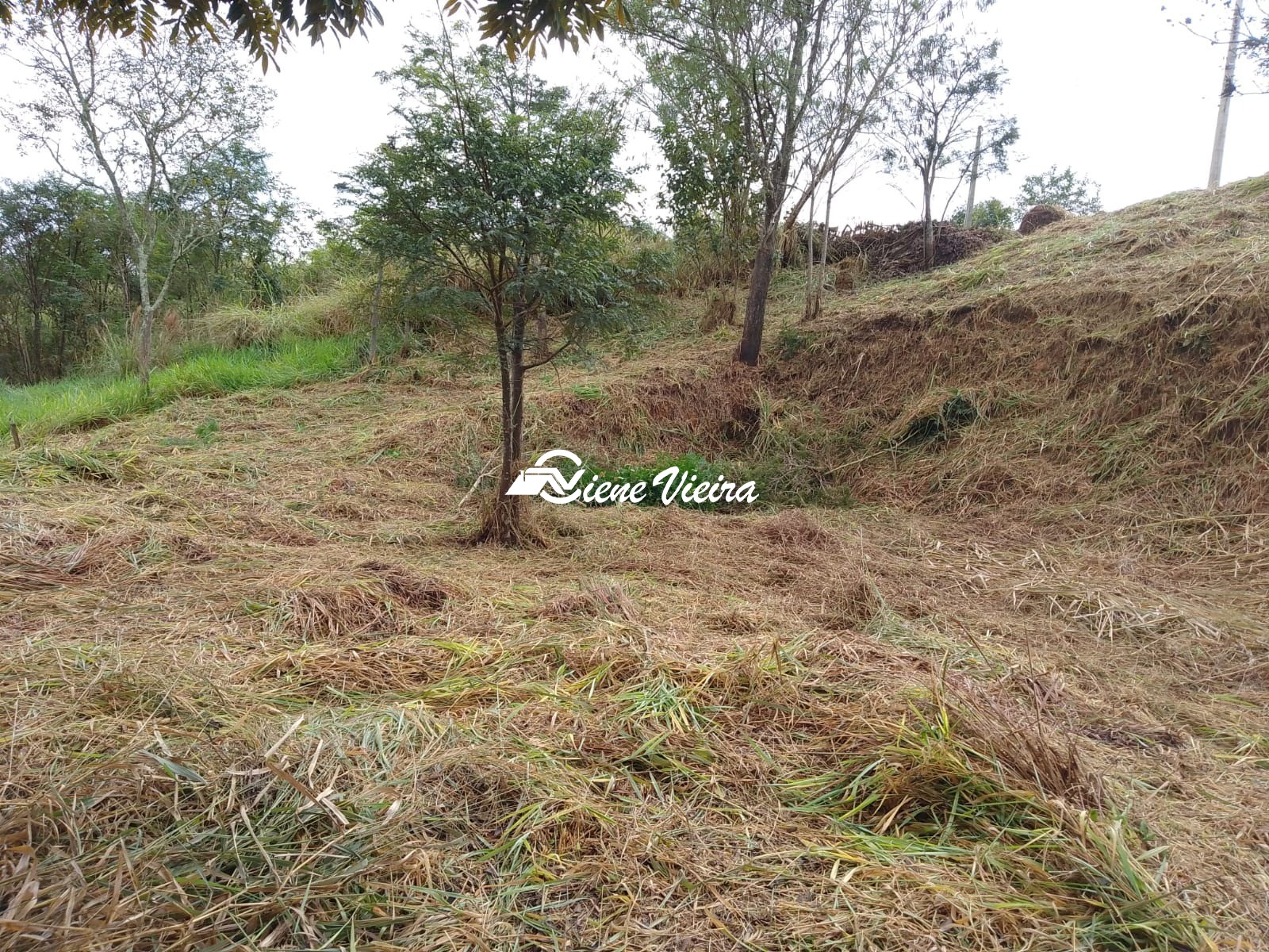 Terreno, 1040 m² - Foto 12
