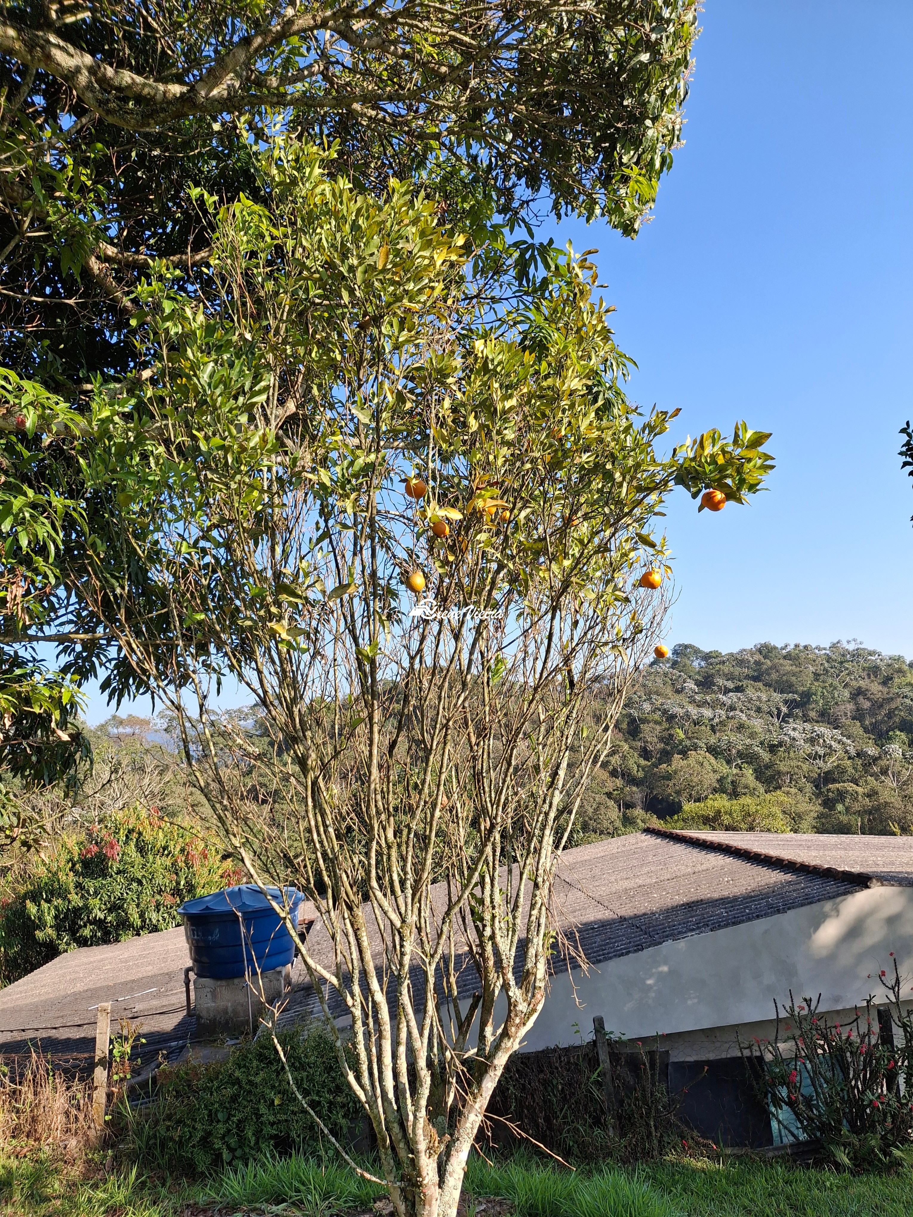 Chácara, 2 quartos, 1000 m² - Foto 12