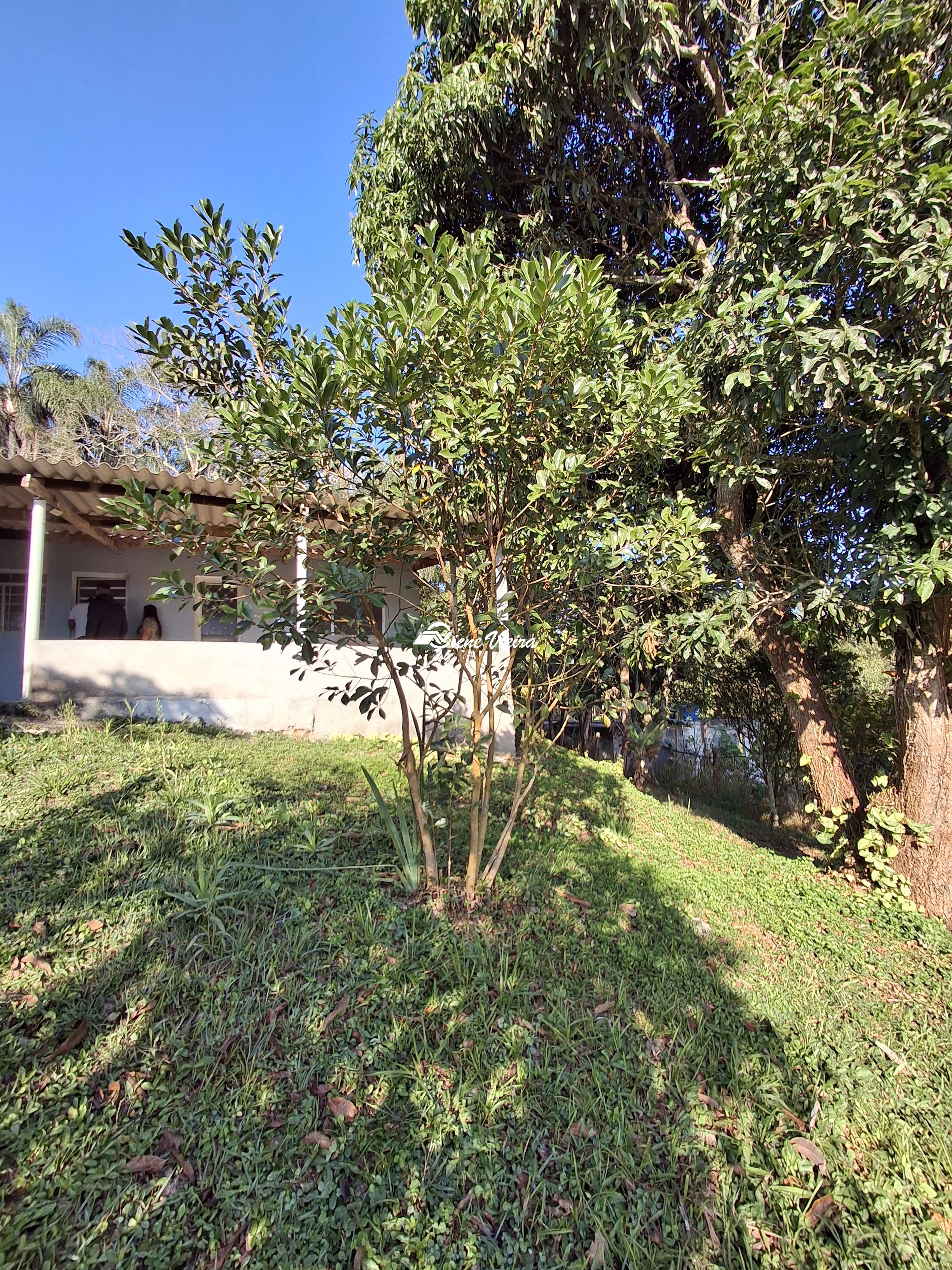 Chácara, 2 quartos, 1000 m² - Foto 5