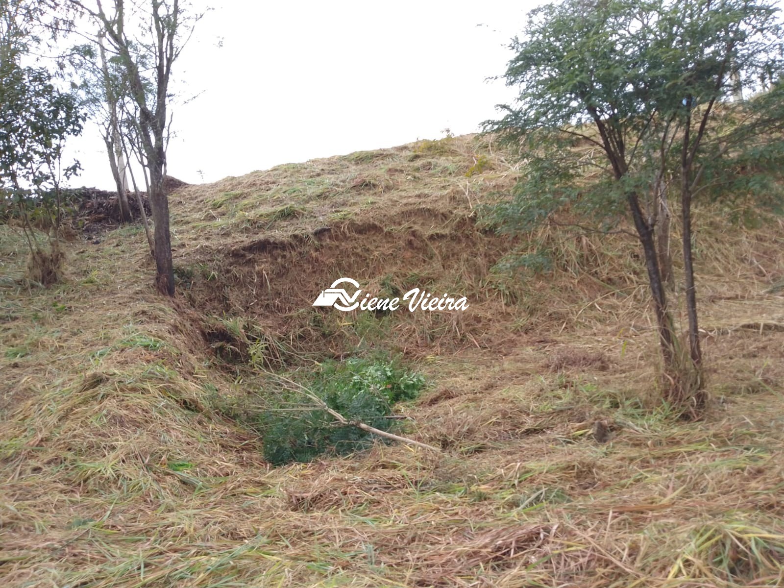 Terreno, 1040 m² - Foto 8