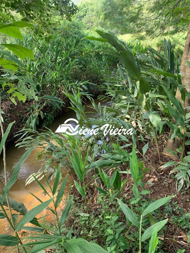 Chácara, 3 quartos, 1 hectares - Foto 7