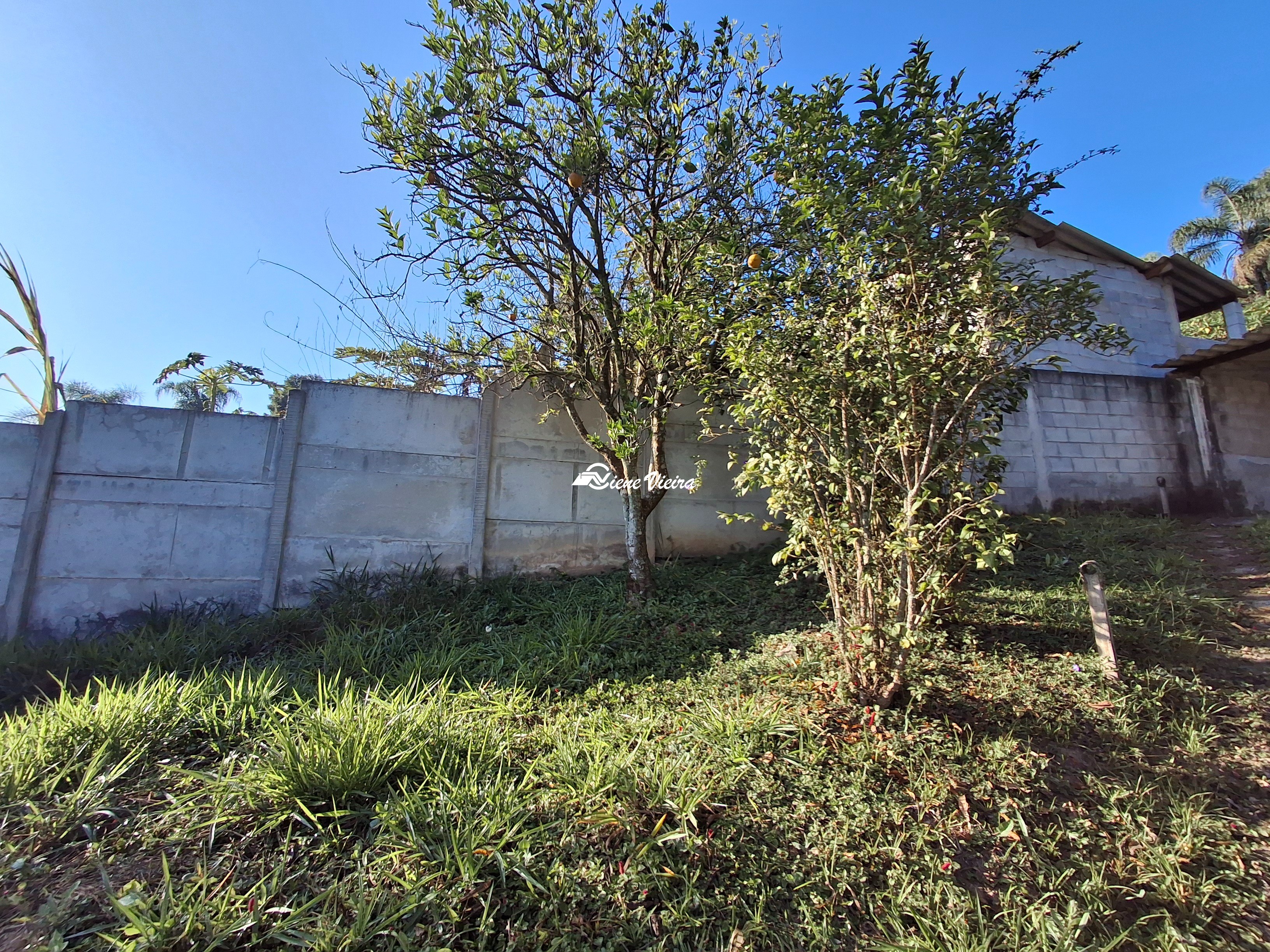 Chácara, 2 quartos, 1000 m² - Foto 10