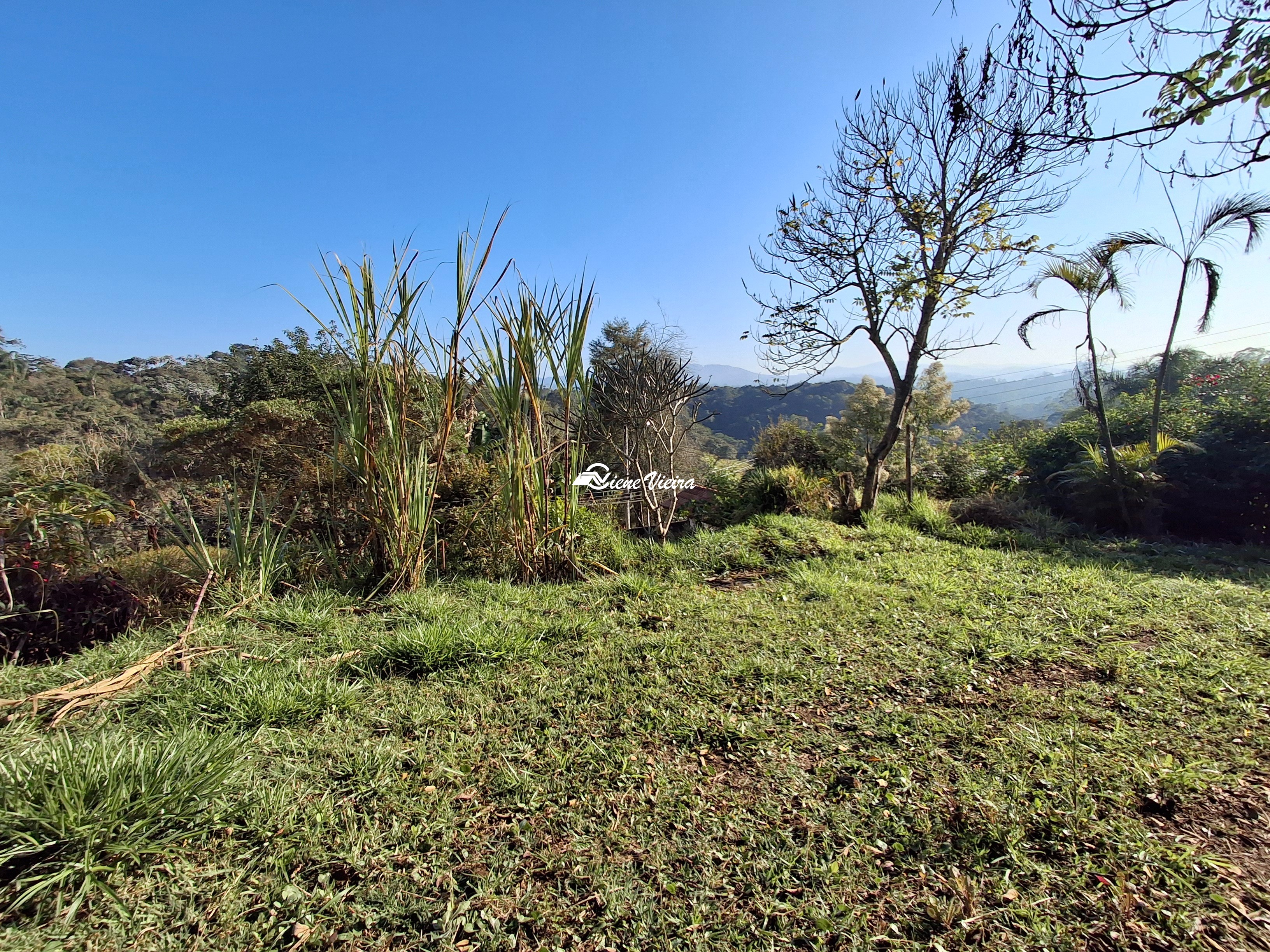 Chácara, 2 quartos, 1000 m² - Foto 14