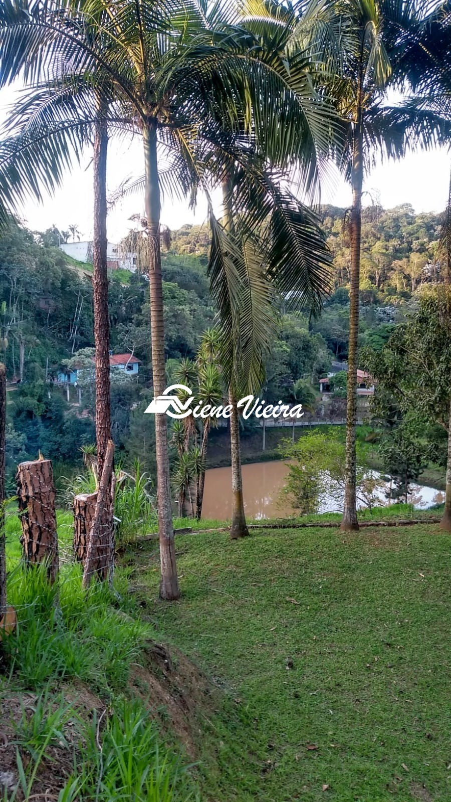 Chácara, 3 quartos, 4000 m² - Foto 16
