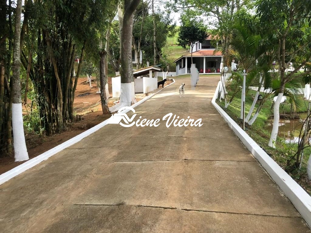 Chácara, 4 quartos, 4 hectares - Foto 1