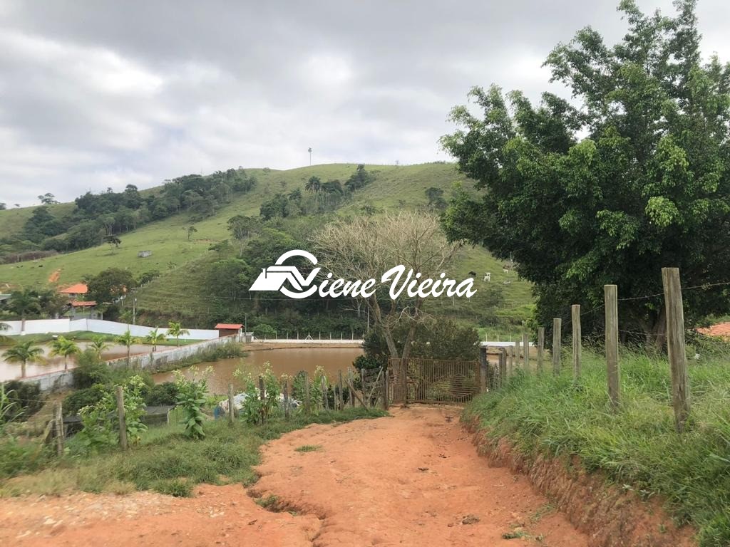 Chácara, 4 quartos, 4 hectares - Foto 12
