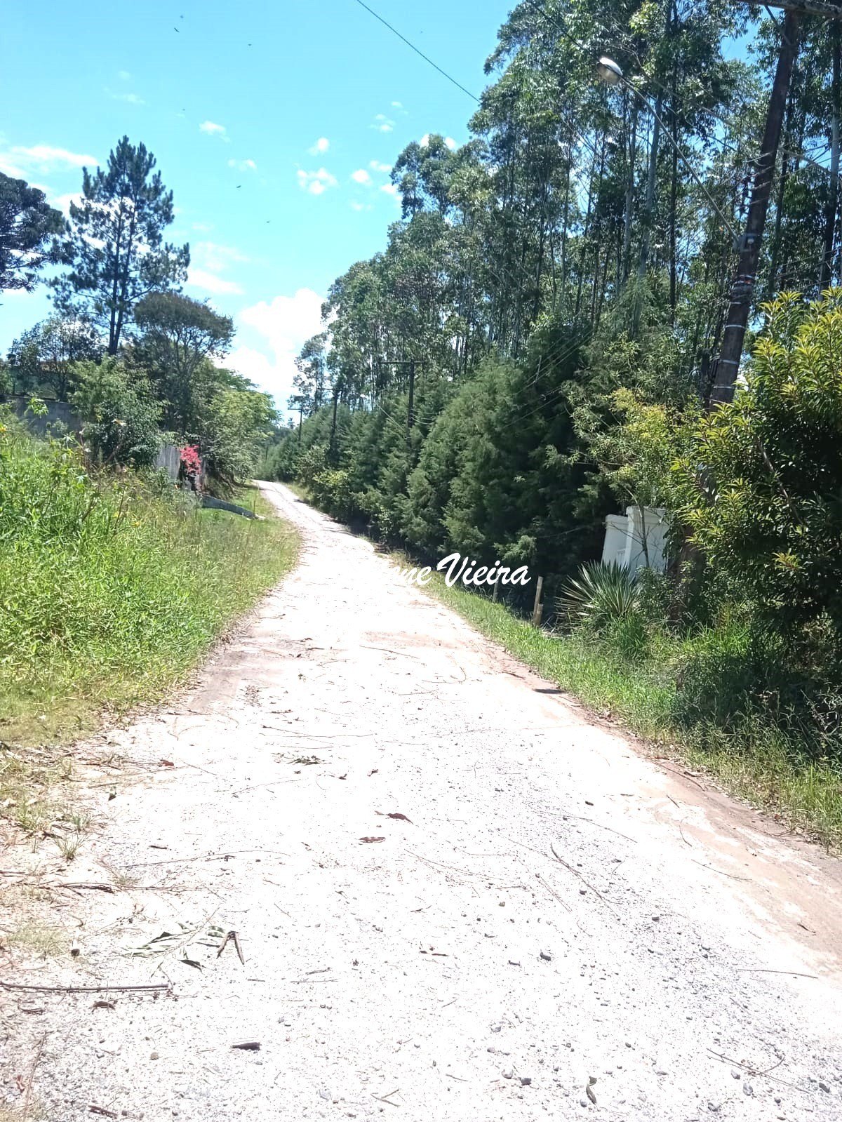 Chácara, 3 quartos, 2500 m² - Foto 12