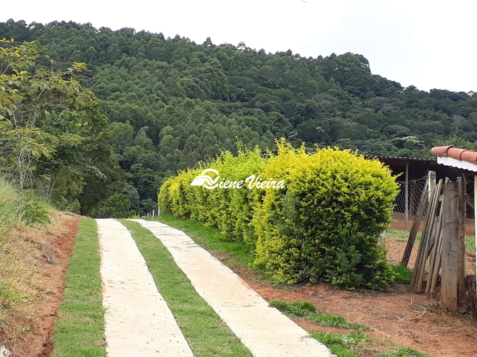 Sítio, 3 quartos, 8 hectares - Foto 22