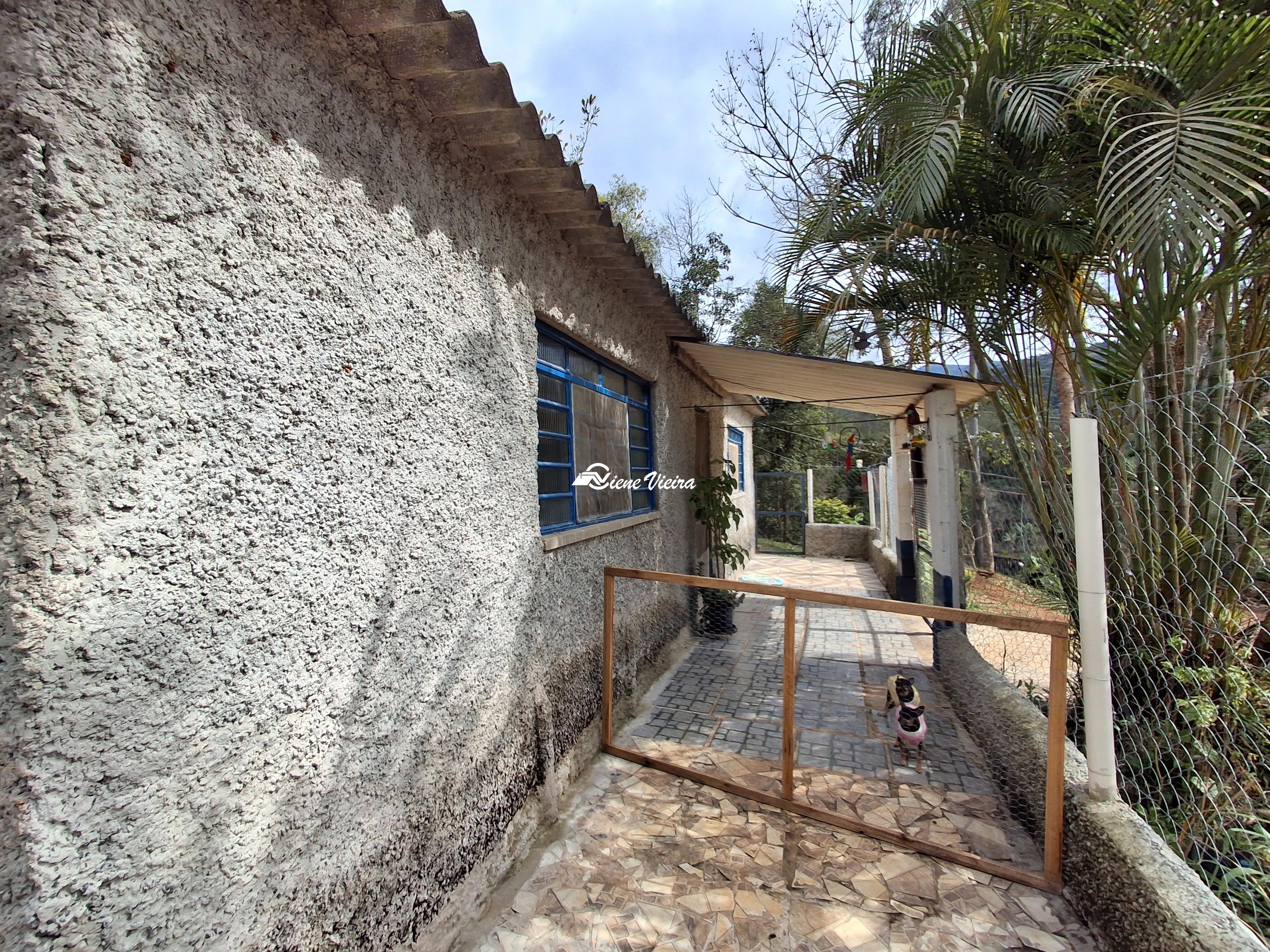 Chácara, 3 quartos, 6000 m² - Foto 11