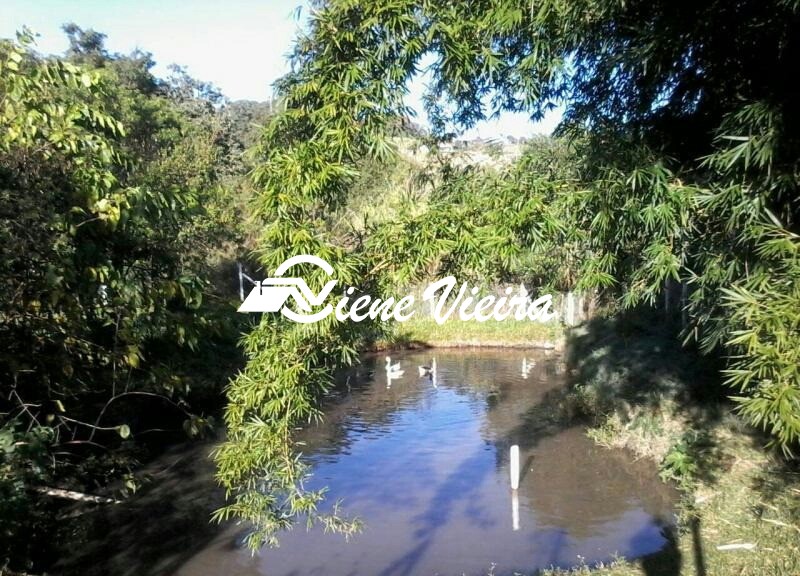 Sítio, 3 quartos, 8 hectares - Foto 28