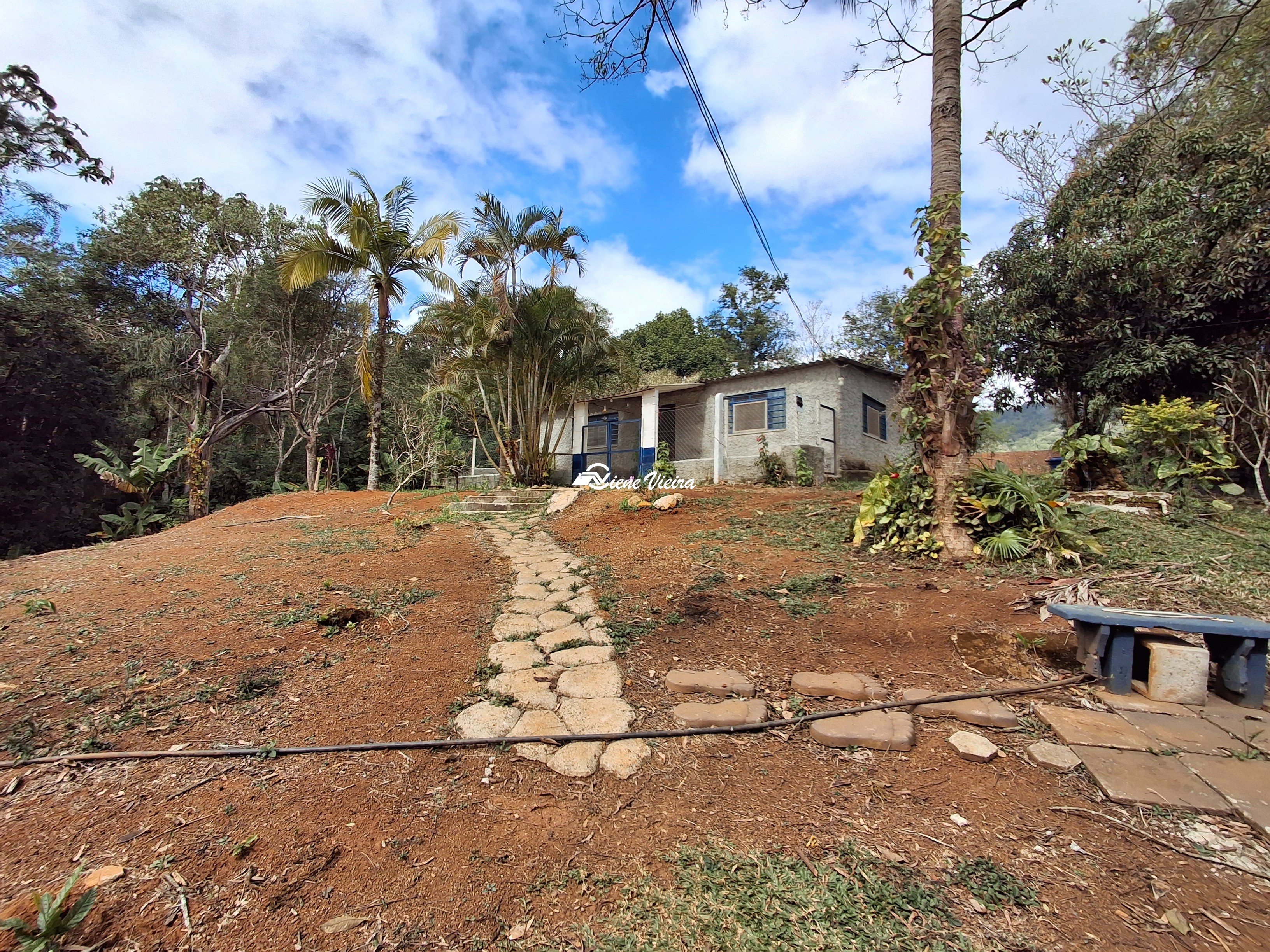 Chácara, 3 quartos, 6000 m² - Foto 7