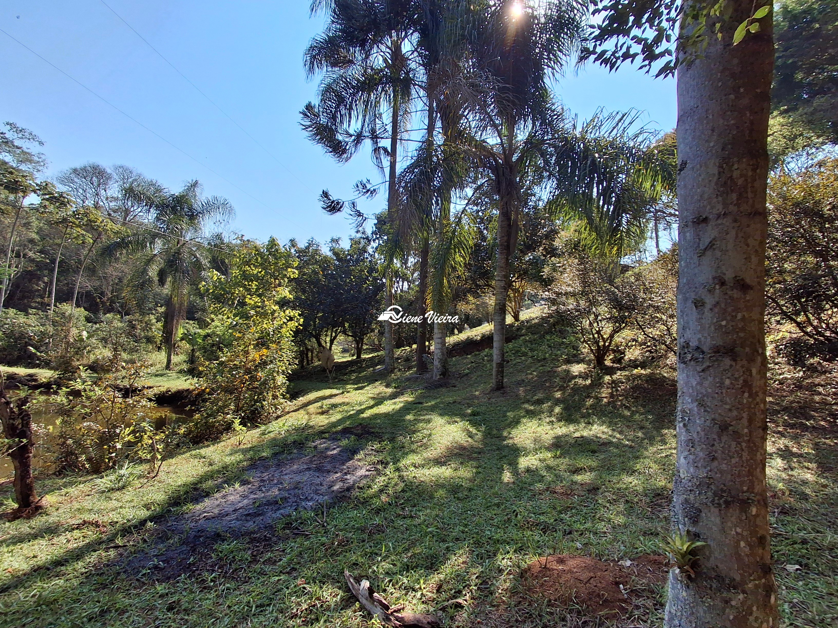 Chácara, 3 quartos, 2 hectares - Foto 49