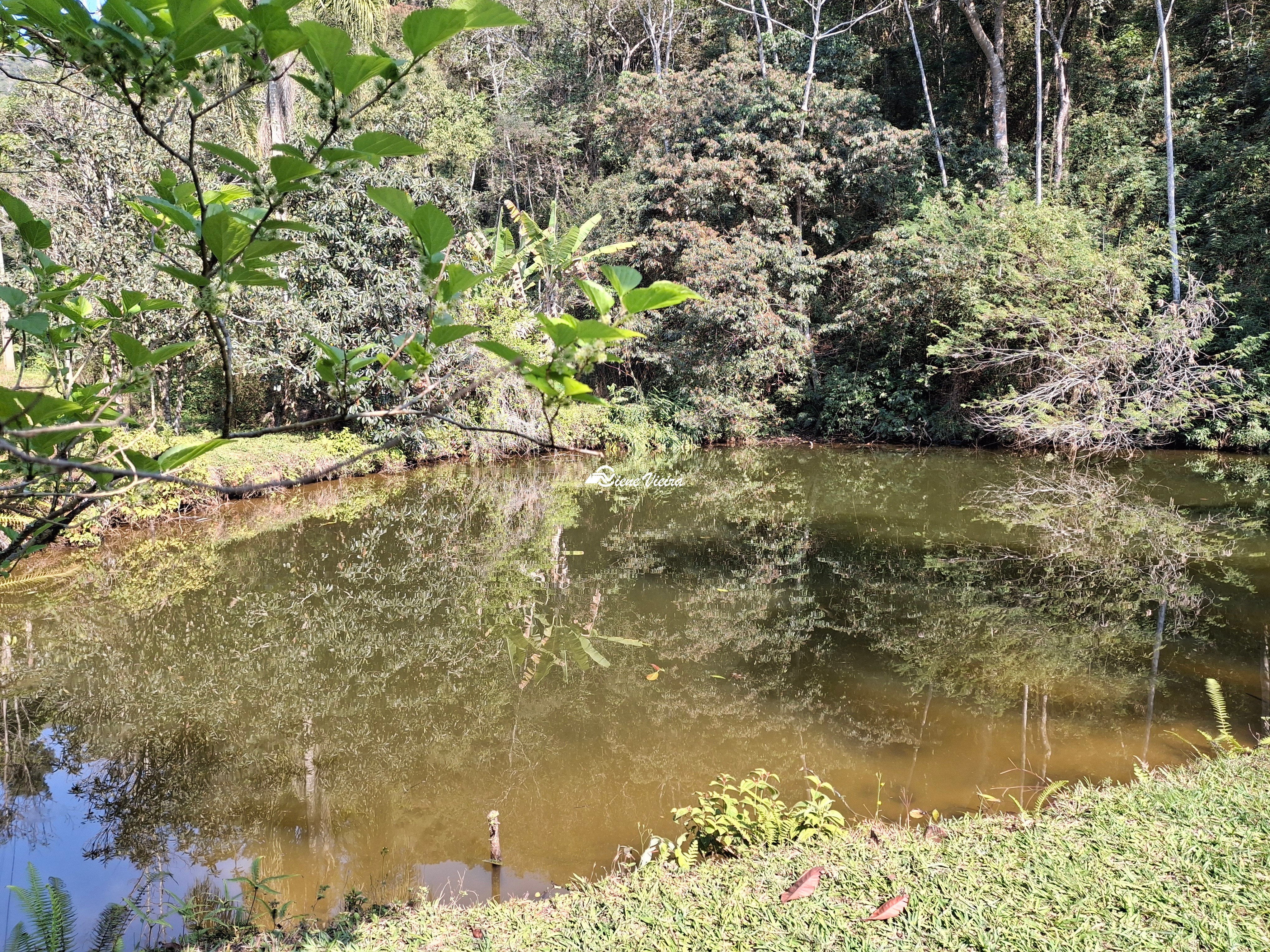 Chácara, 3 quartos, 2 hectares - Foto 46