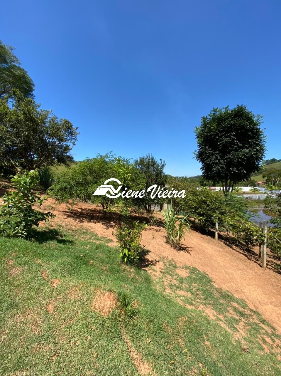Chácara, 4 quartos, 4 hectares - Foto 35