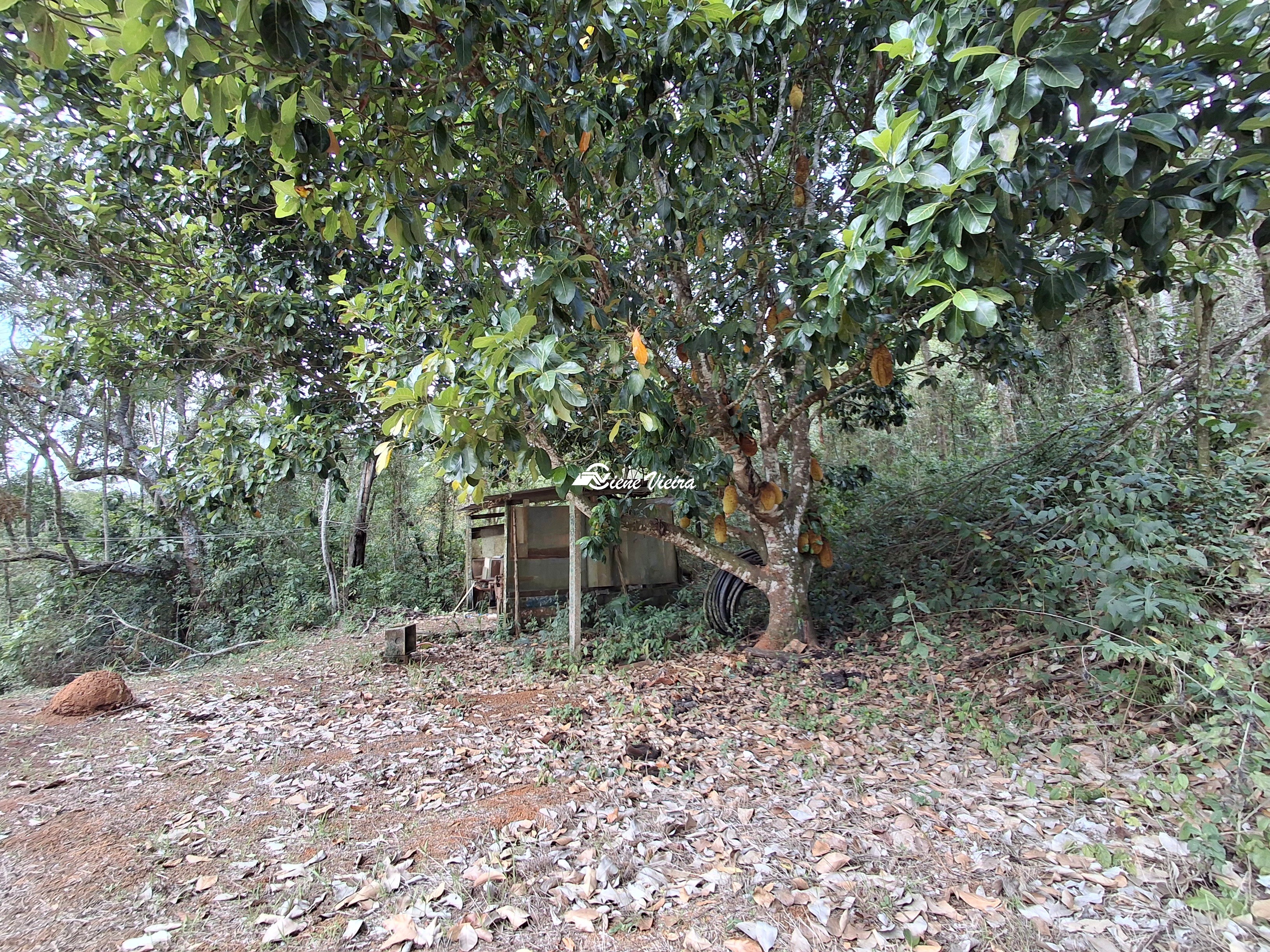 Chácara, 3 quartos, 6000 m² - Foto 23