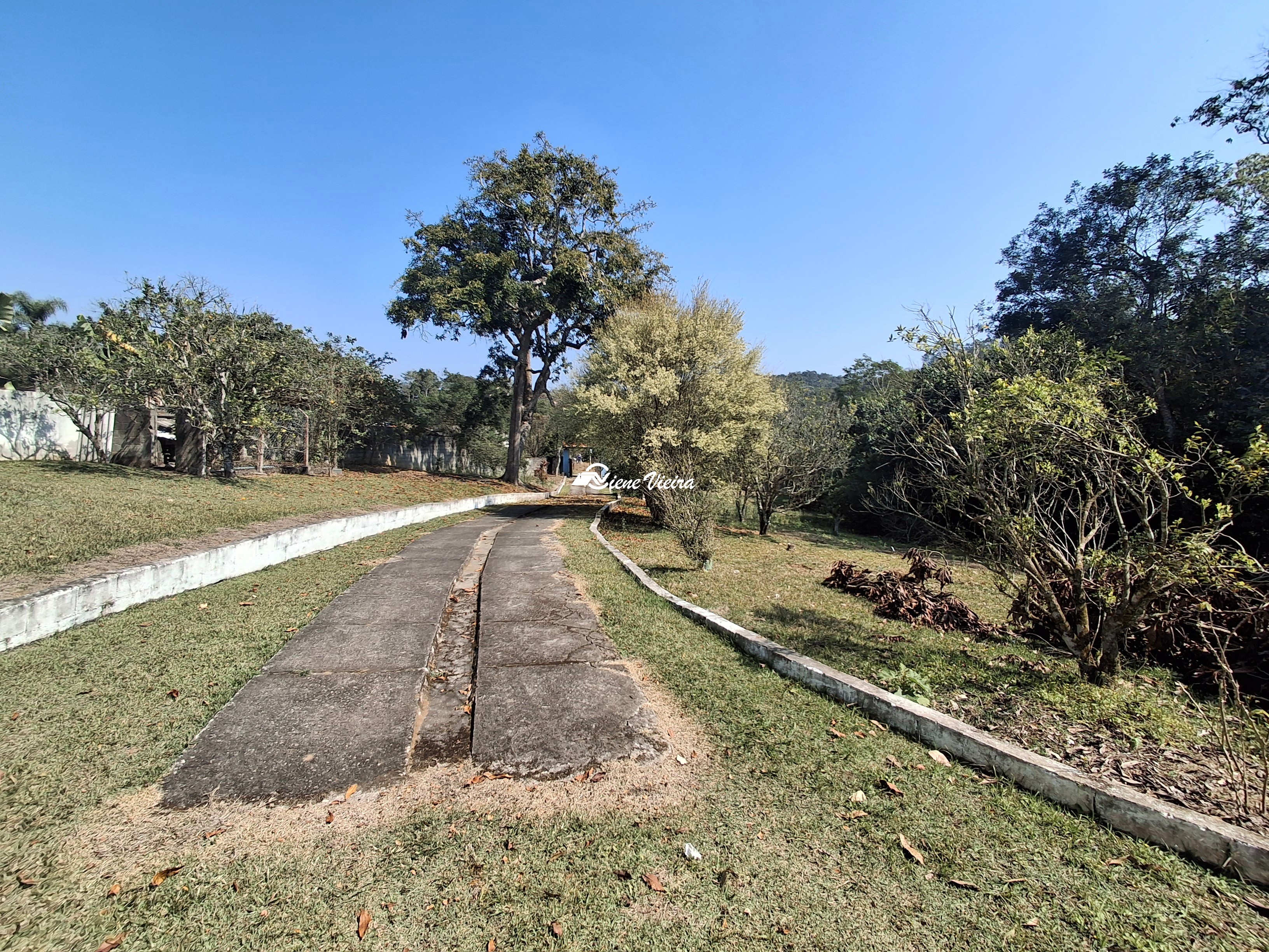 Chácara, 3 quartos, 5060 m² - Foto 4