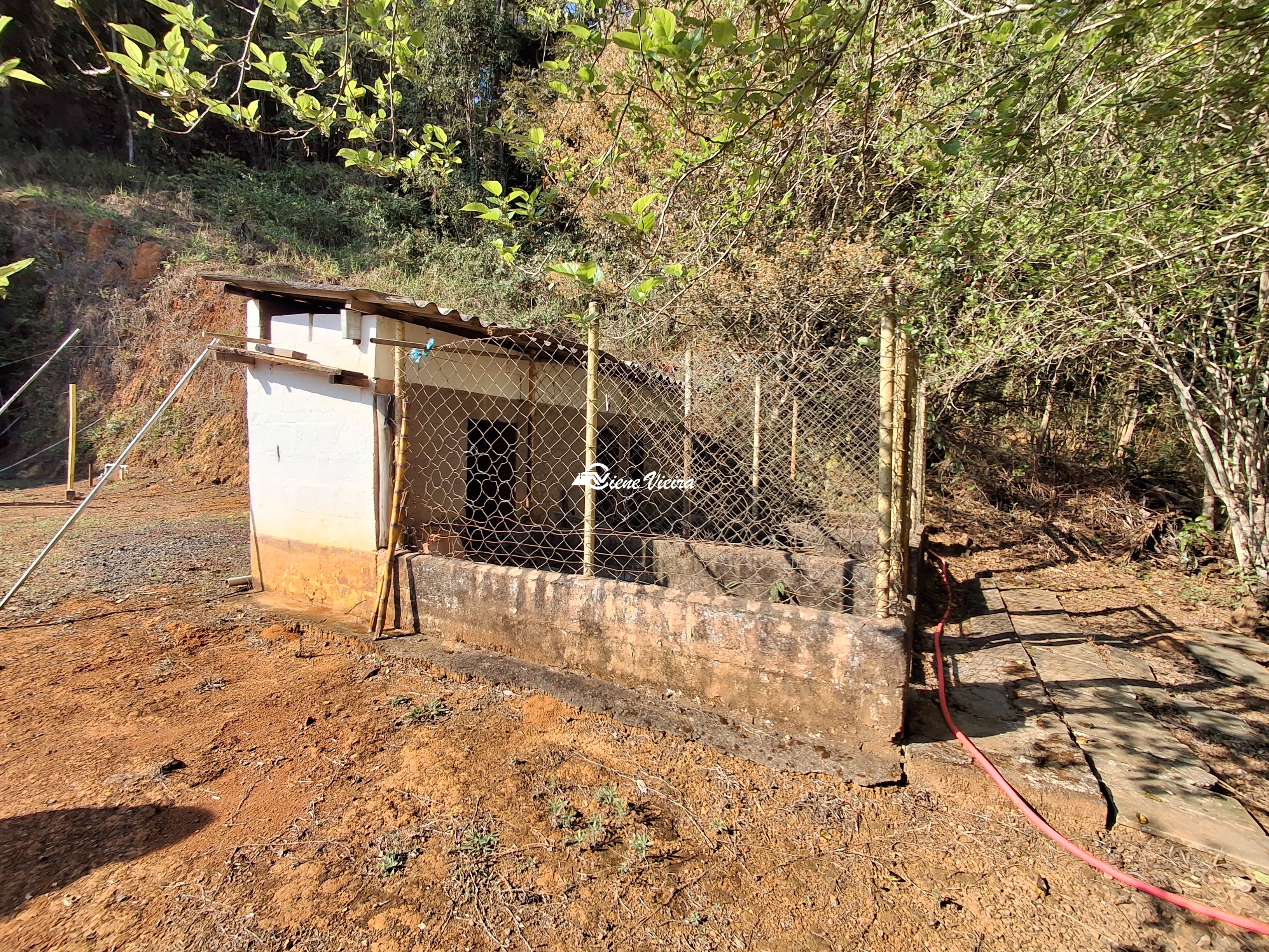 Chácara, 3 quartos, 2 hectares - Foto 44