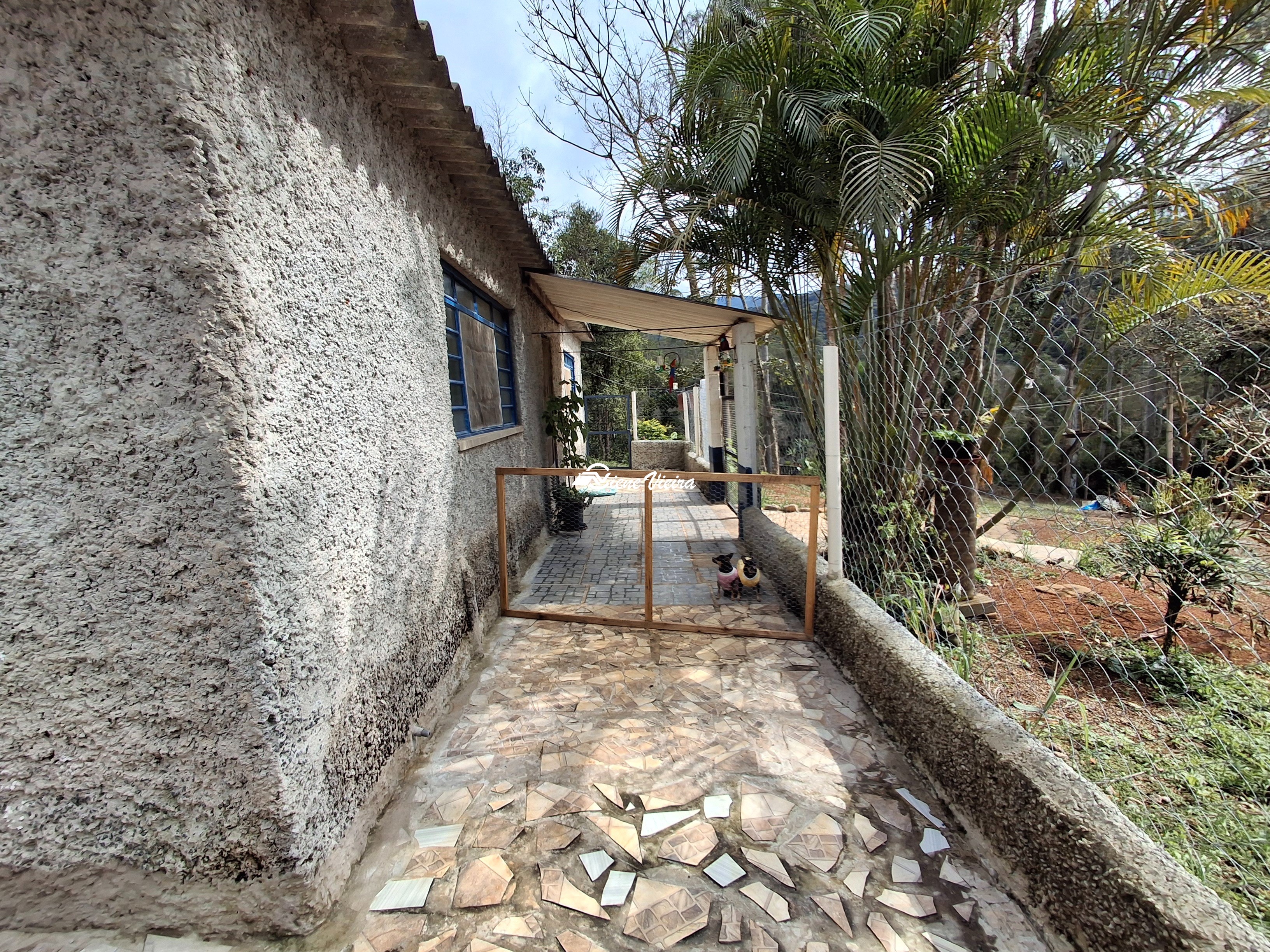 Chácara, 3 quartos, 6000 m² - Foto 9