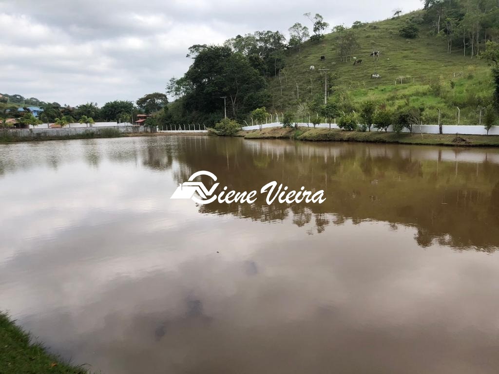 Chácara, 4 quartos, 4 hectares - Foto 11