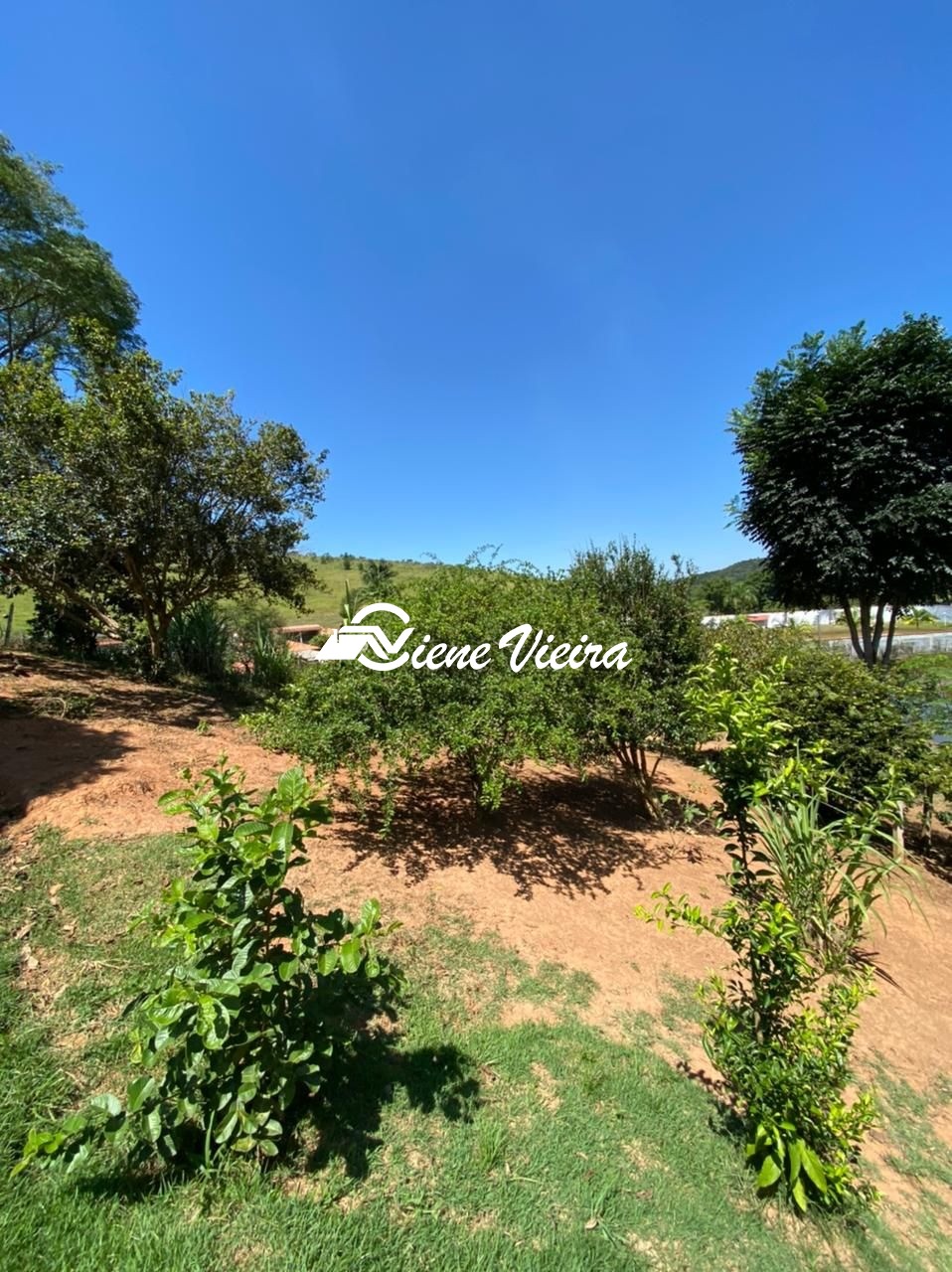 Chácara, 4 quartos, 4 hectares - Foto 37