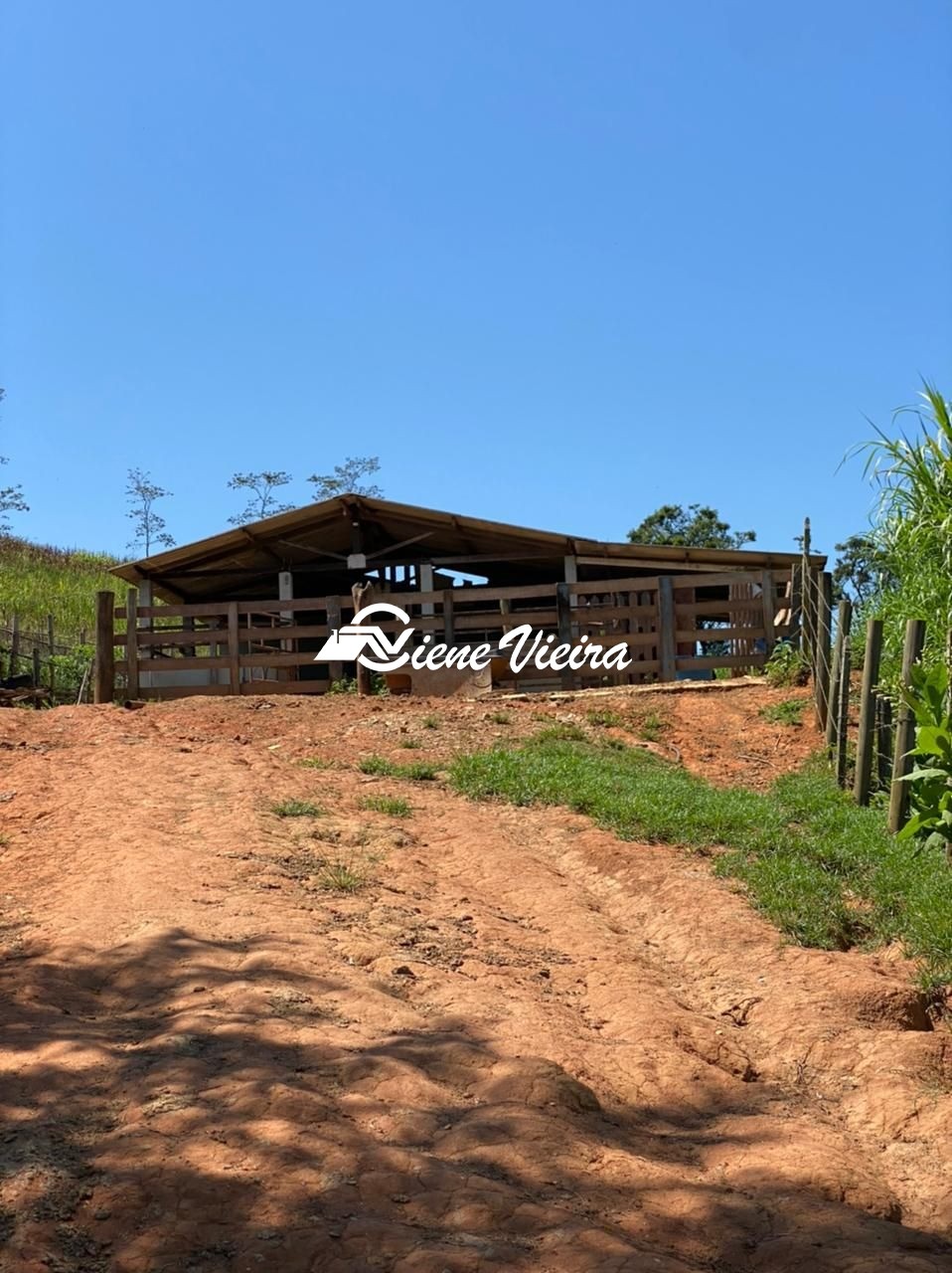 Chácara, 4 quartos, 4 hectares - Foto 36