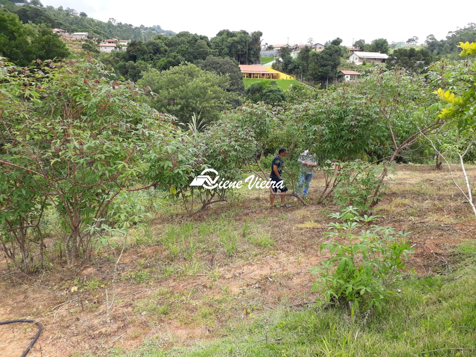 Sítio, 3 quartos, 8 hectares - Foto 19