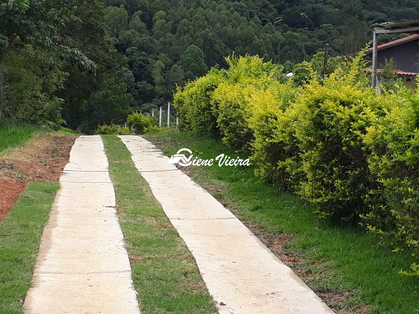 Sítio, 3 quartos, 8 hectares - Foto 24